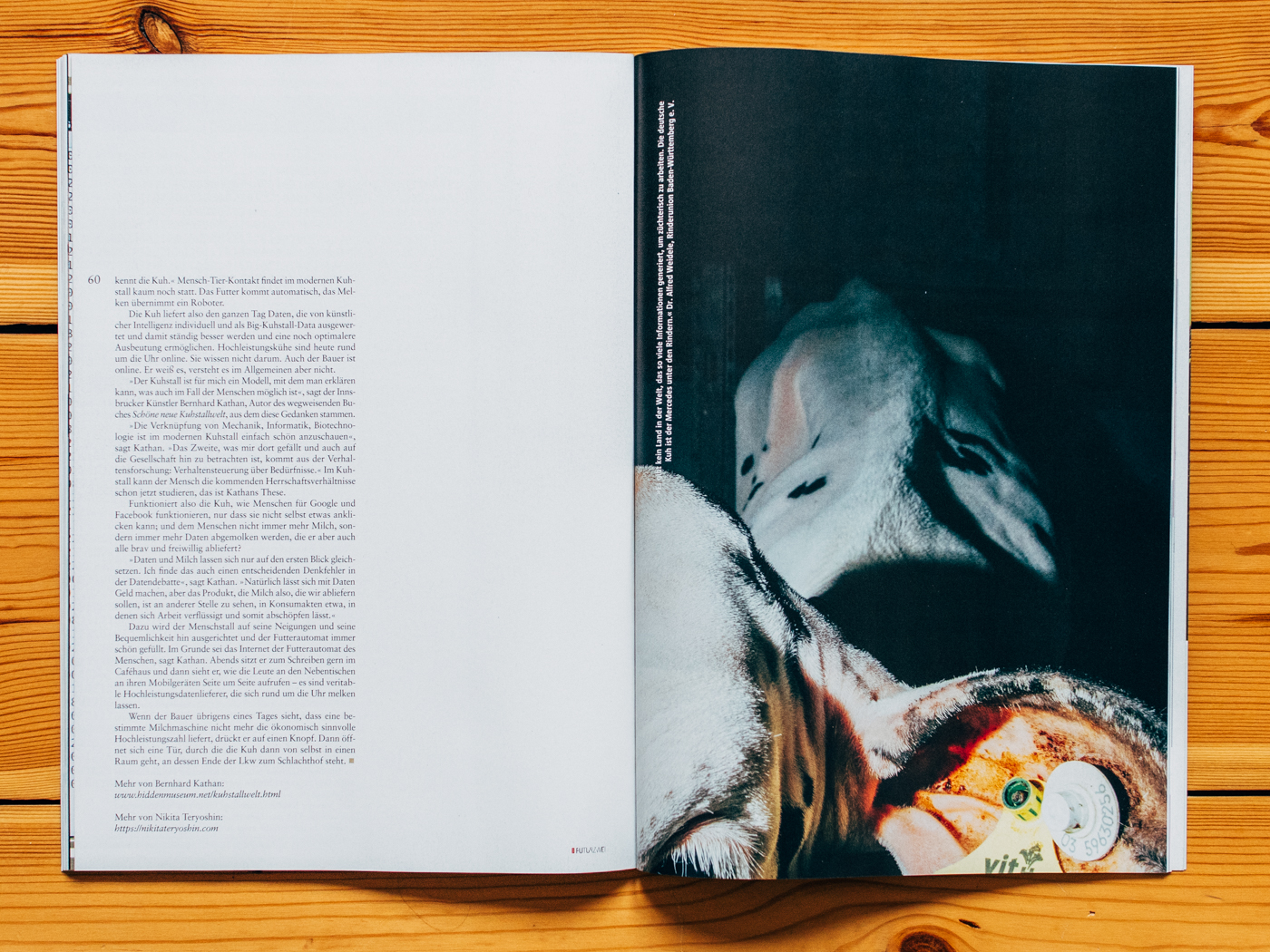 FuturZwei / Hornless Heritage / Dezember 2018