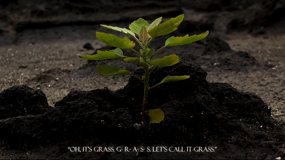 첫 만남의 D, 2024, 단채널 영상, 컬러, 무음, 12분 49초