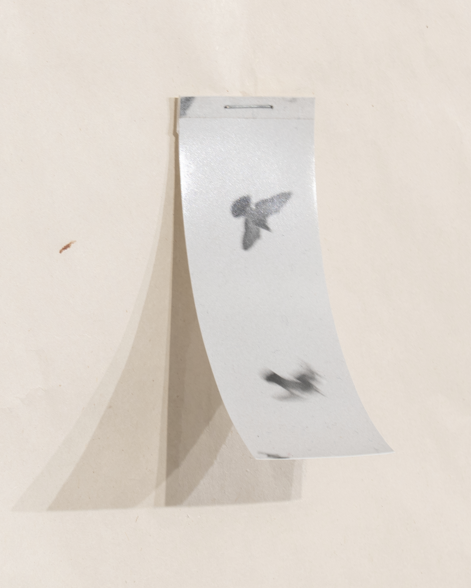 Untitled (detail), 2022-2023. Soot and wax on newsprint, mended with numerous things, various dimensions.