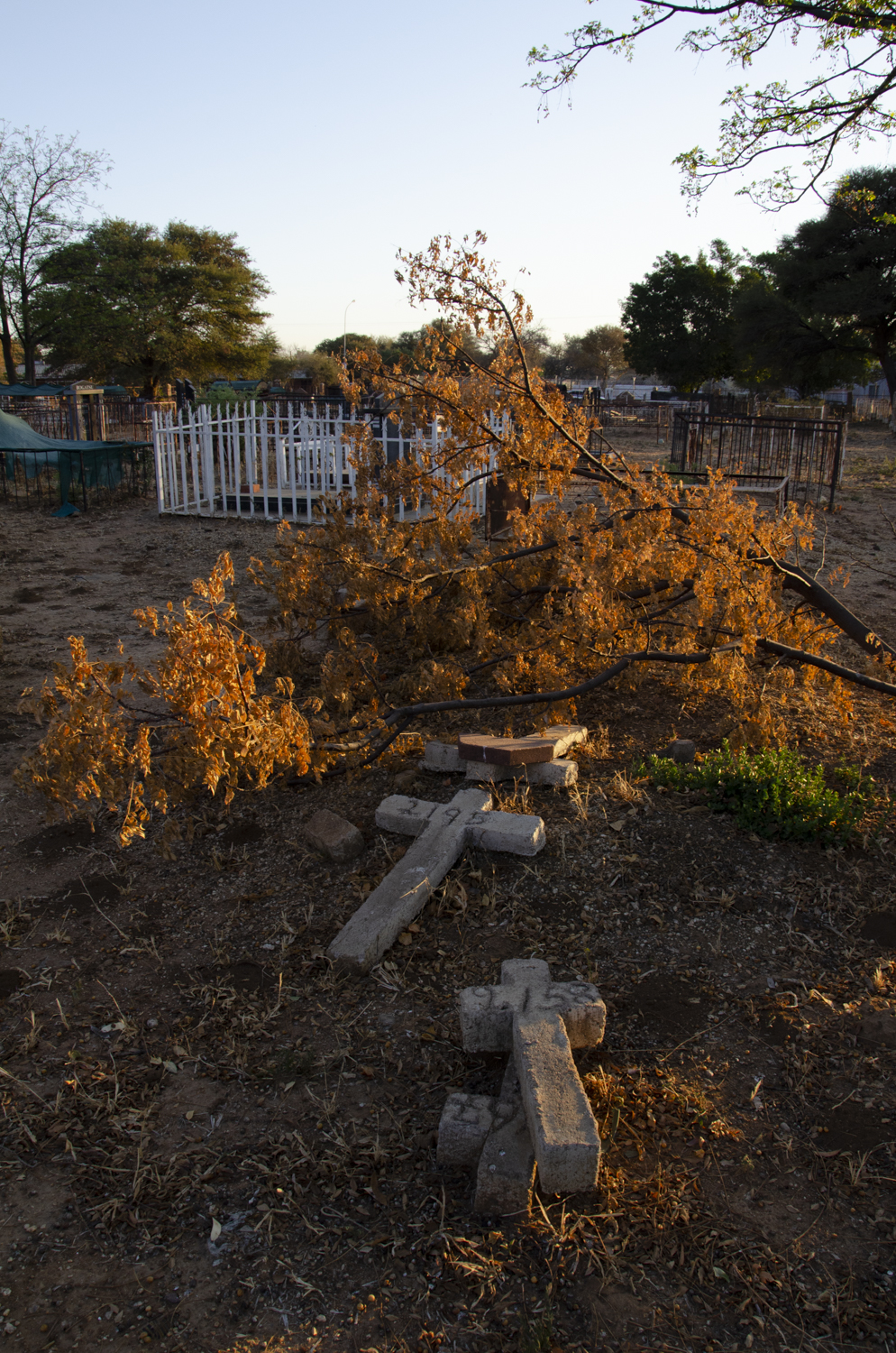 Mabitla A Batho Ba Tsoang Boroa, 2019