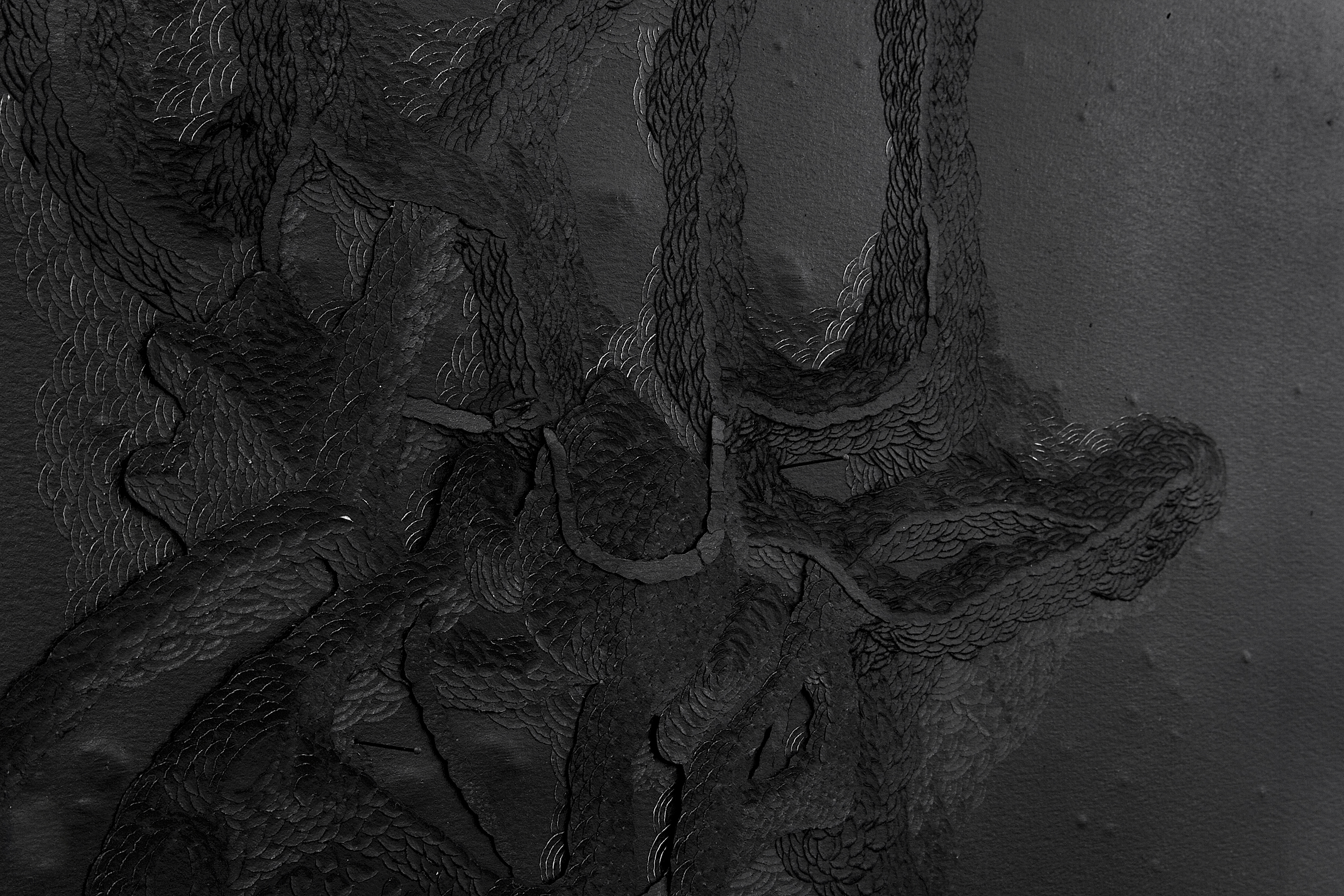  Black Growth, 2007 . Cut and carved paper . 50 x 65 cm . Private Collection São Paulo, Brasil