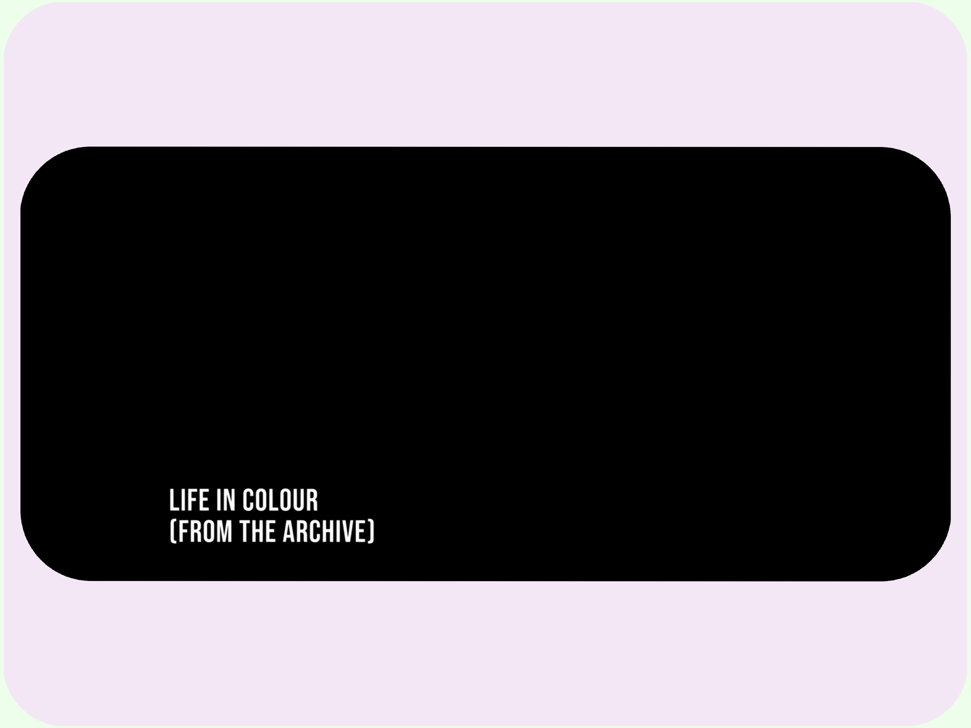 LIFE IN COLOUR (FROM THE ARCHIVE) (2022)