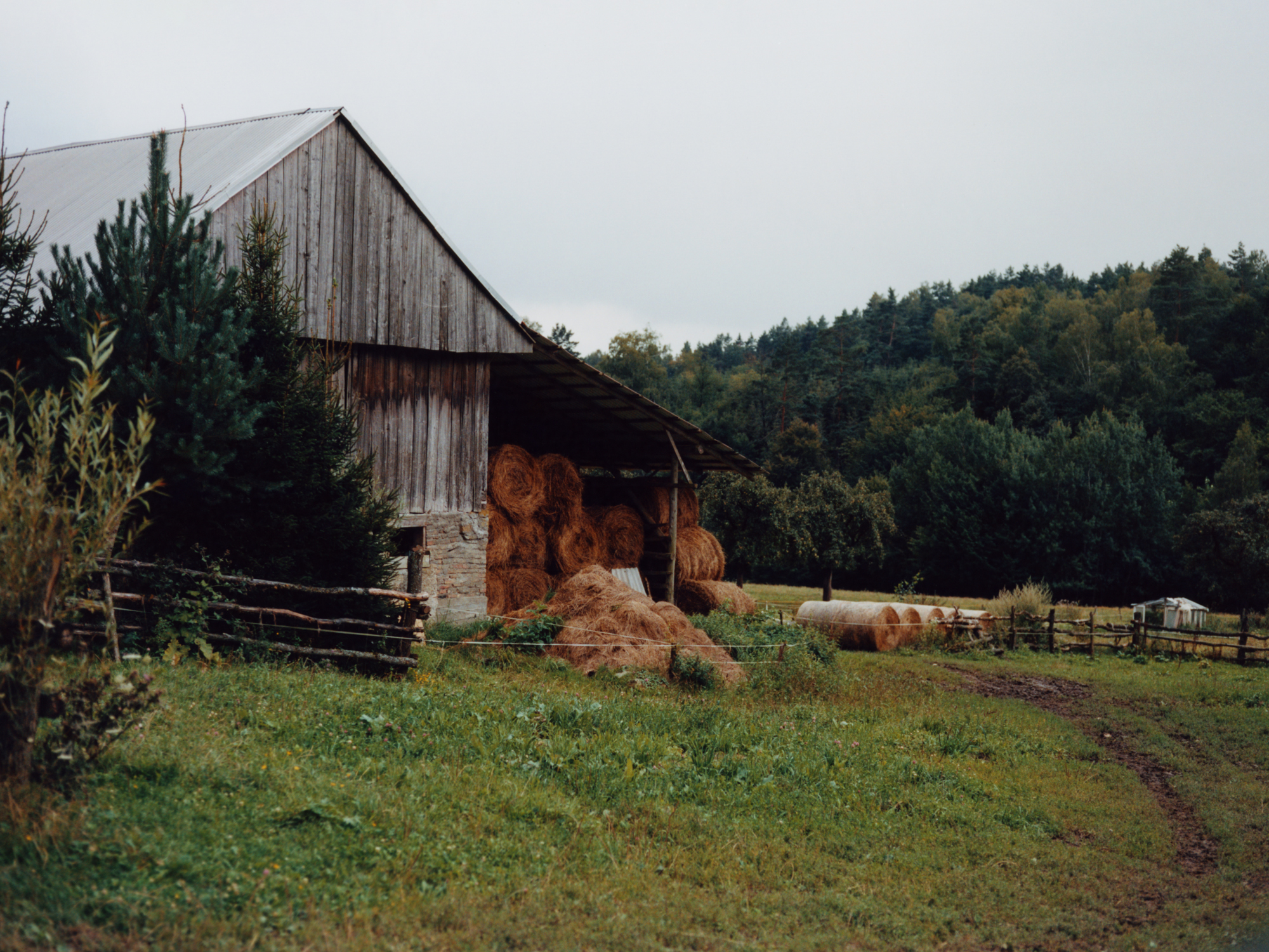 The Greatest Magazine,  10/13 