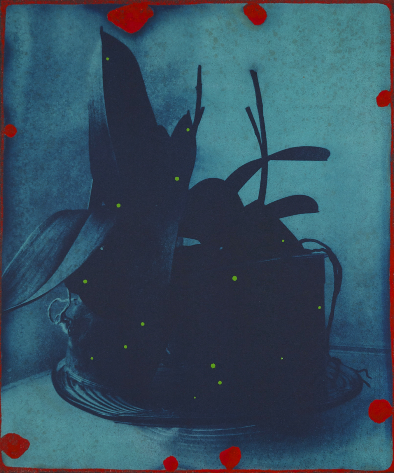 Untitled 2014, cyanotype, acrylic and alkyd on paper, 30 x 25 cm