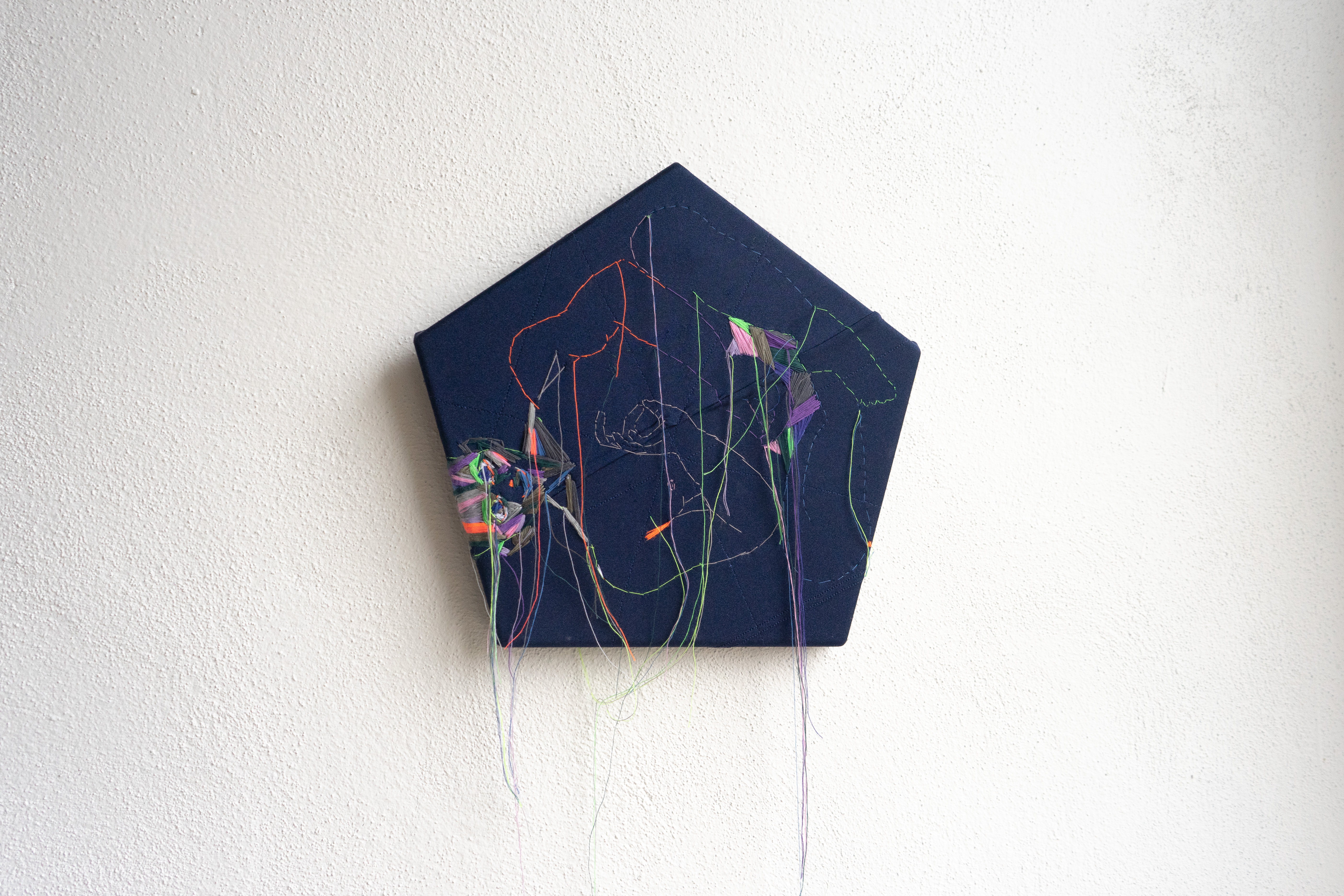 František Drtikol / embroidery 