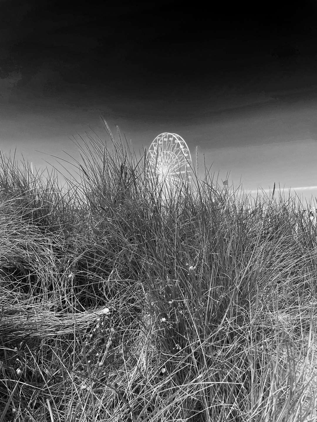 © Alain GiraudHerbes