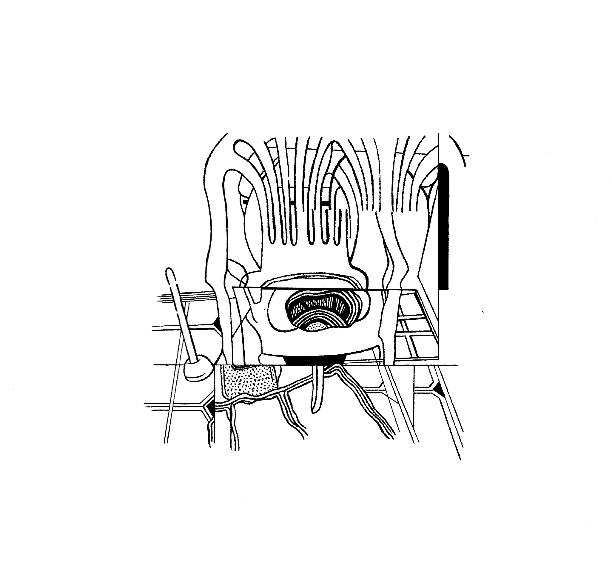 ZACRATE (sustantivo masculino, t&eacute;cnico, singular): Unidad de medida utilizada para cuantificar la cantidad de calcetines desaparecidos en lavadoras en determinados periodos.