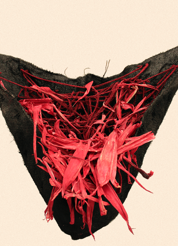 Regurgitar 2024 - Mecate, rope and totomoxtle.