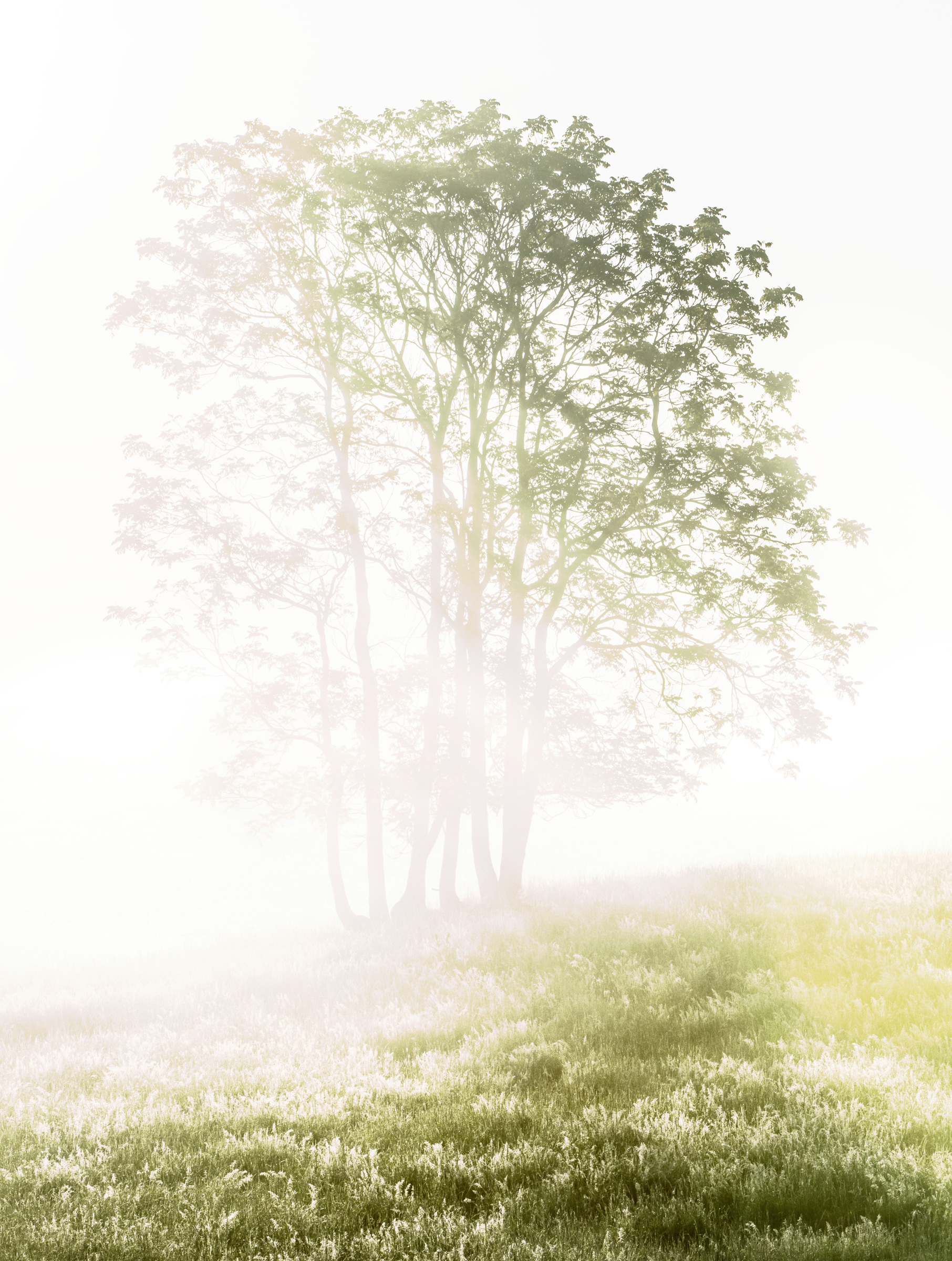 Dub0064: 3 Channel Dodge