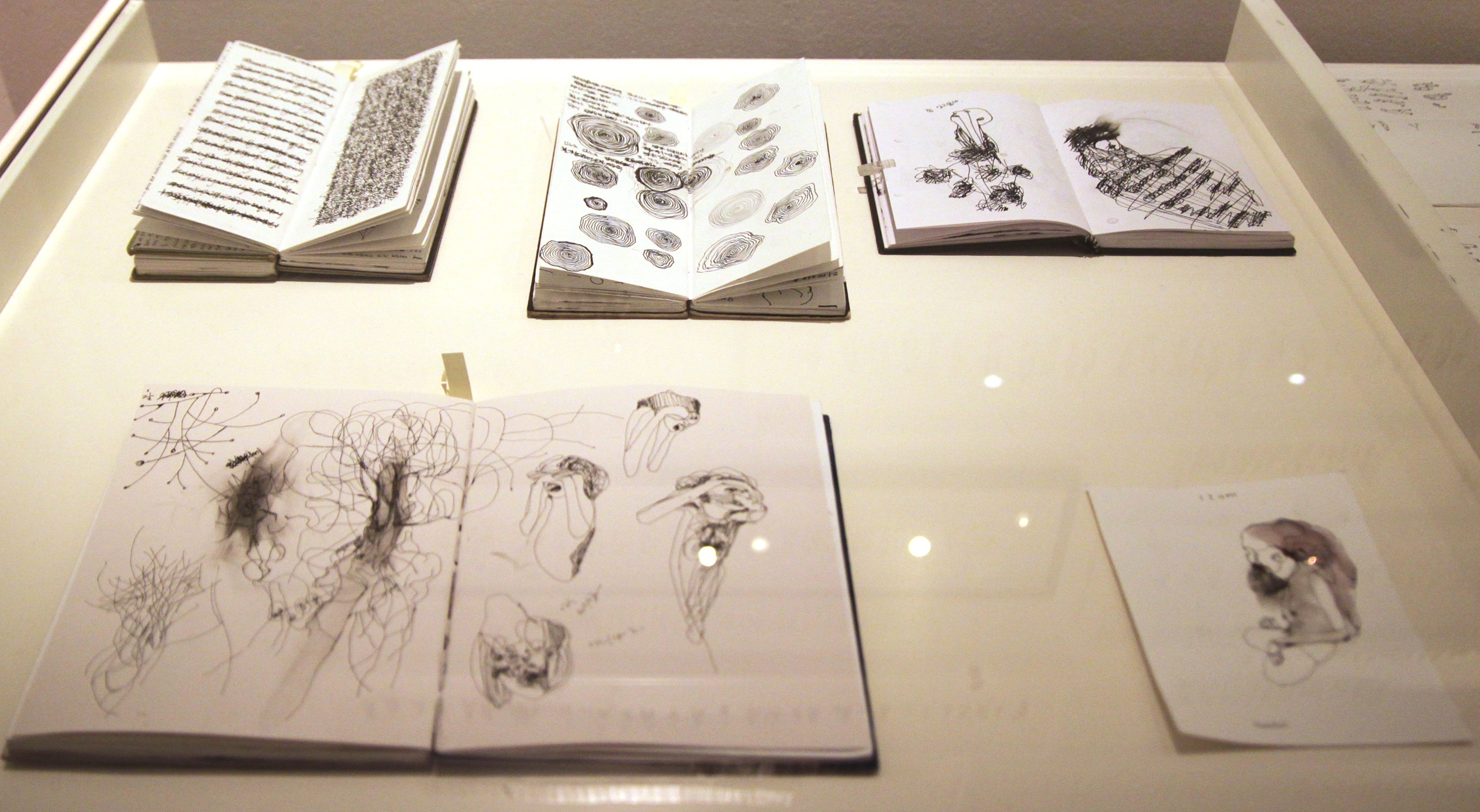 Exhibition display, Sketchbooks / 2011 / Jealous Gallery