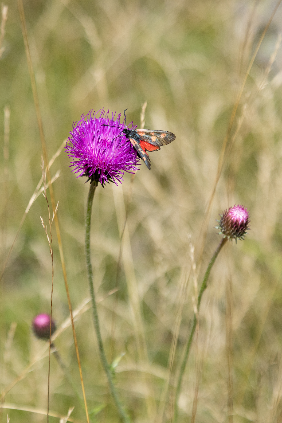 Wallis, Switzerland, 2023