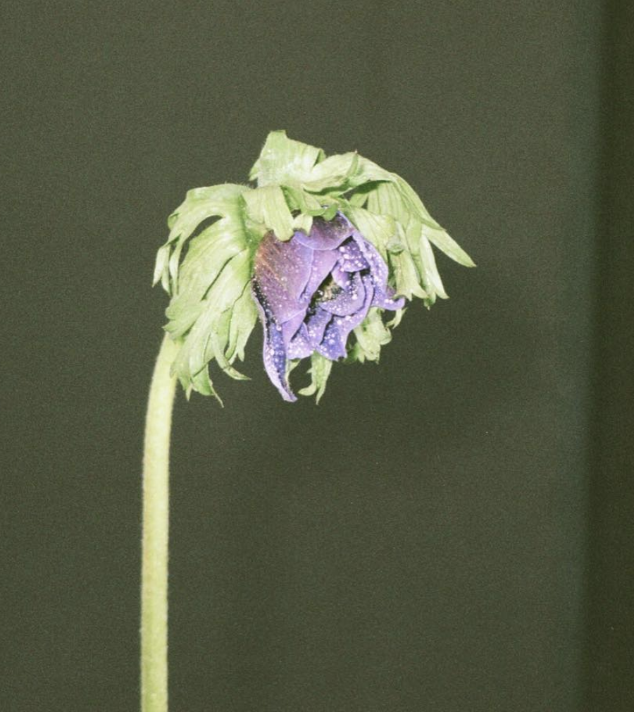 Das macht uns krank ©look_at_this_pusssy