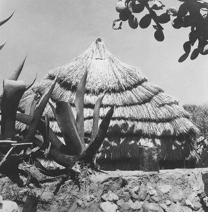 Mariana Yampolsky,Casa de Faldones.1991