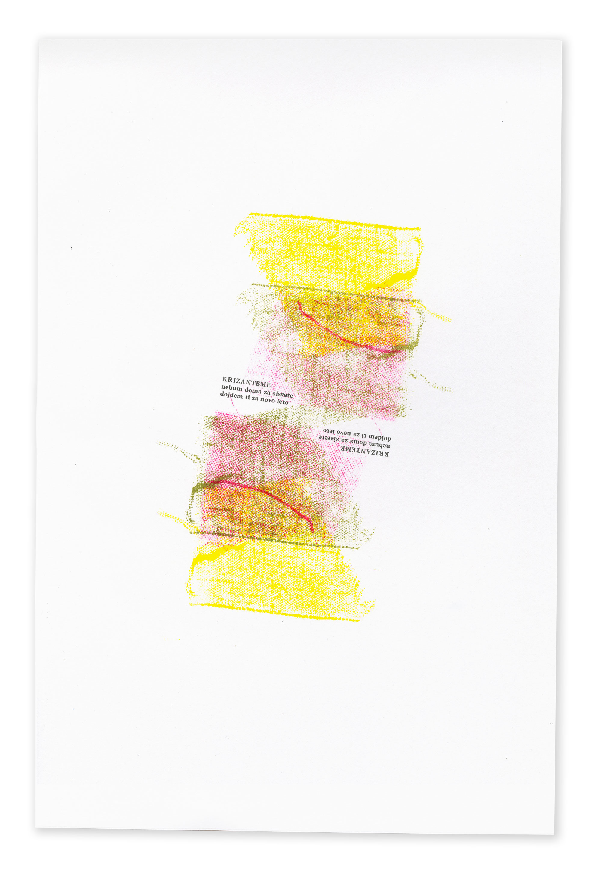 Krizanteme, 13x19 in, 2013