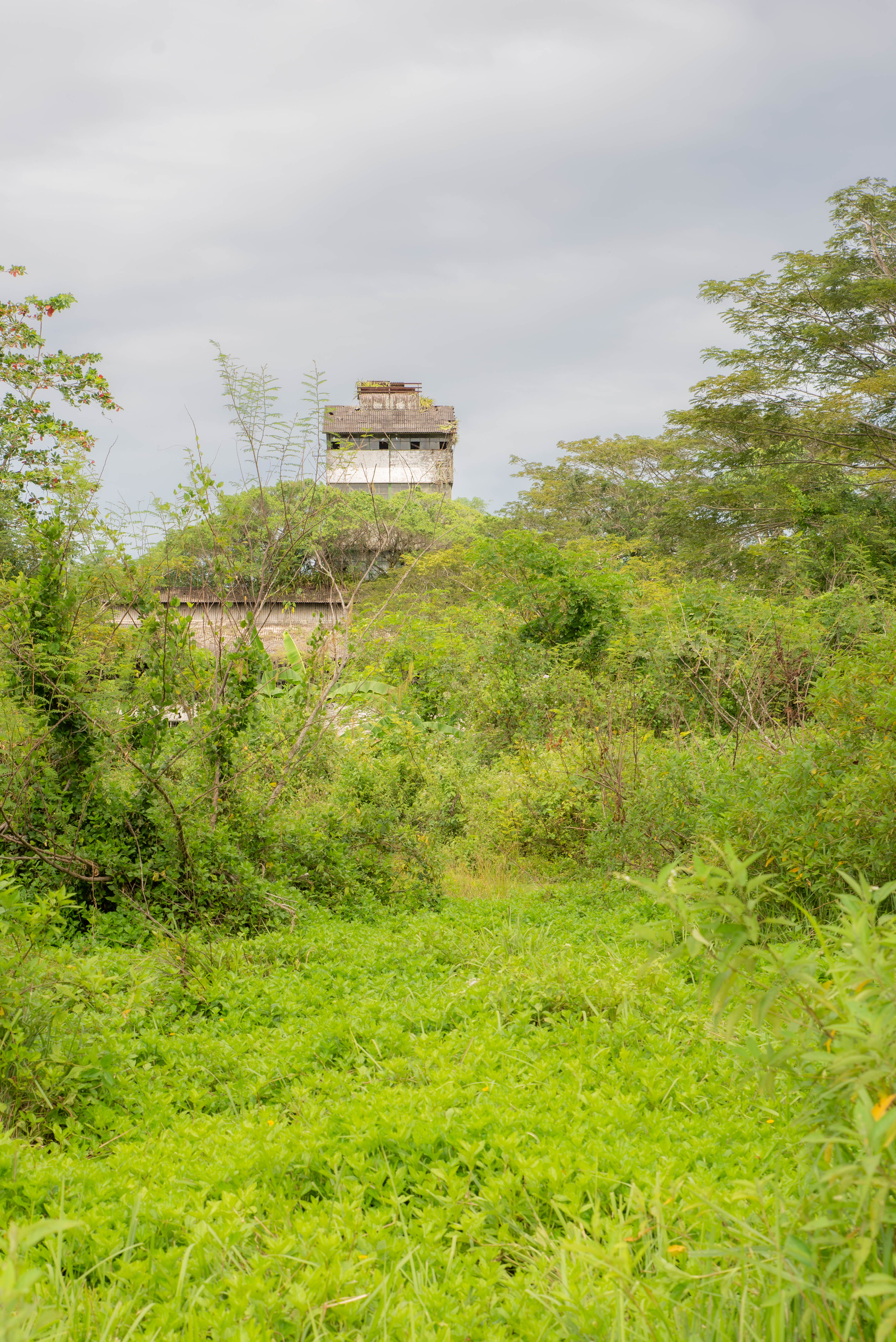 The abandoned grounds of Sugar Company Mariënburg