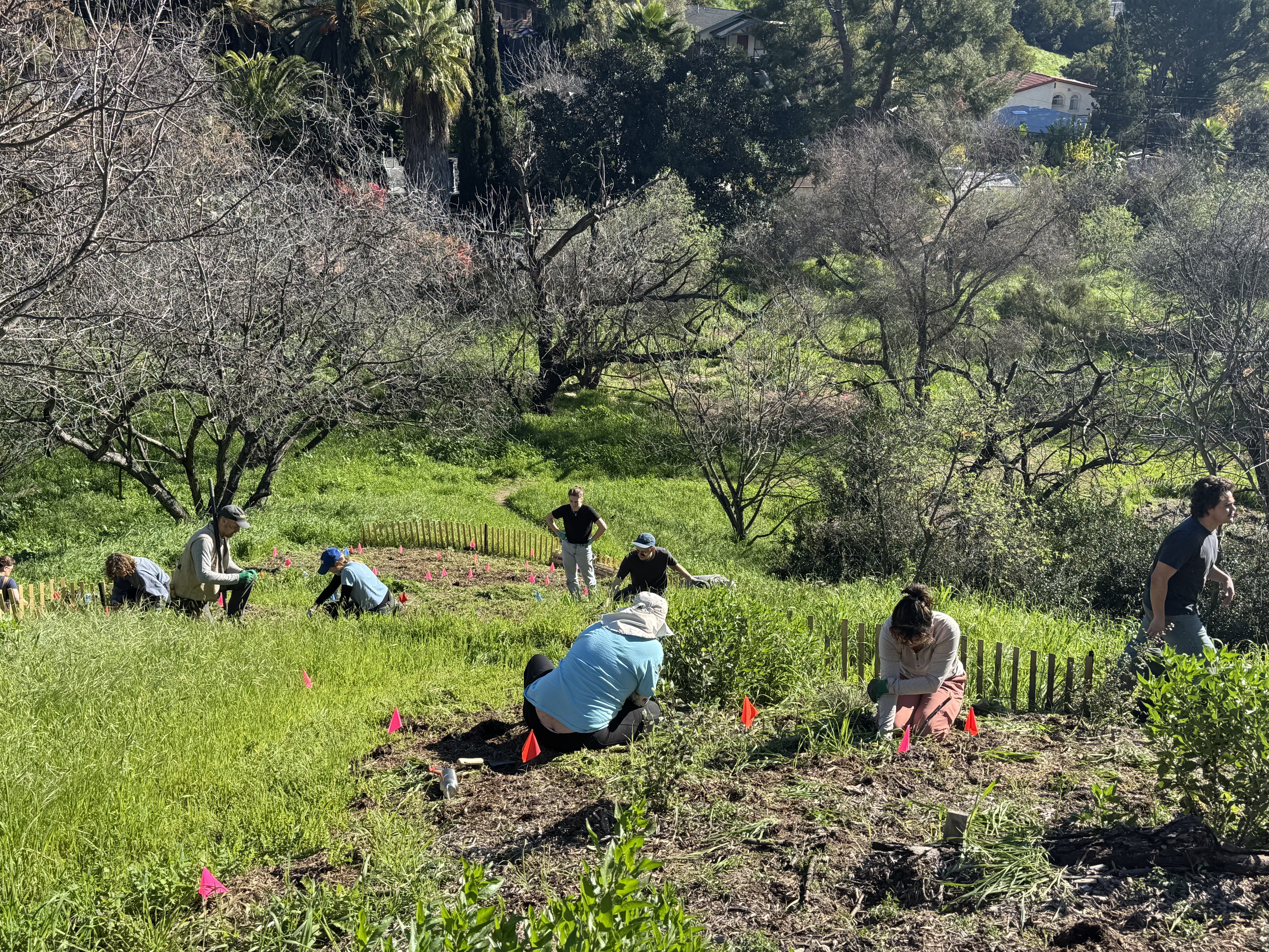 Fig 27. Jan 10 Maintenance day