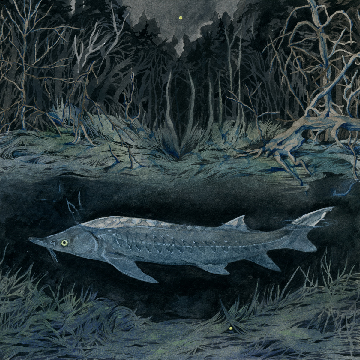 Gold Nugget (2022), gouache on paper