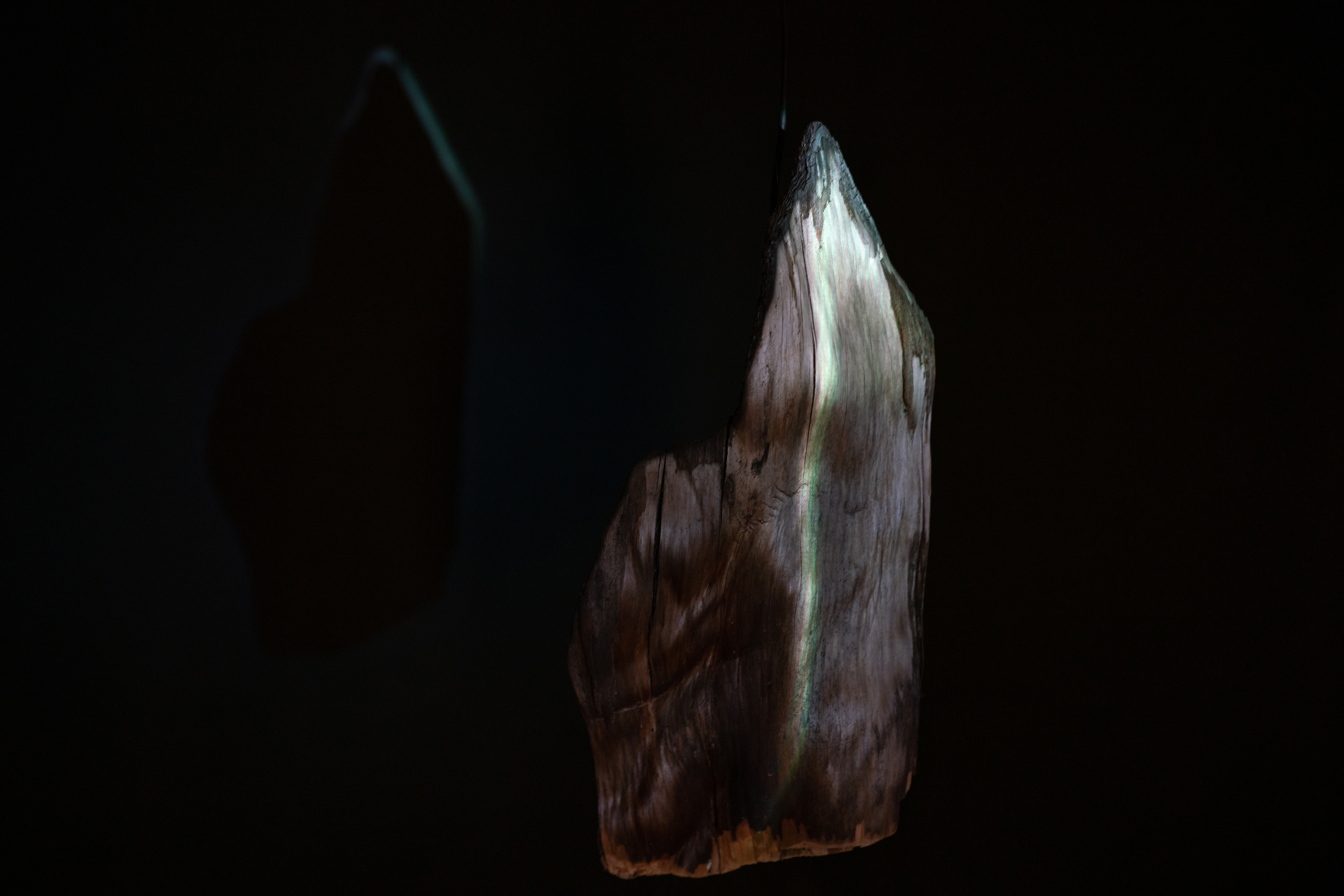 Image by Simone Fischer