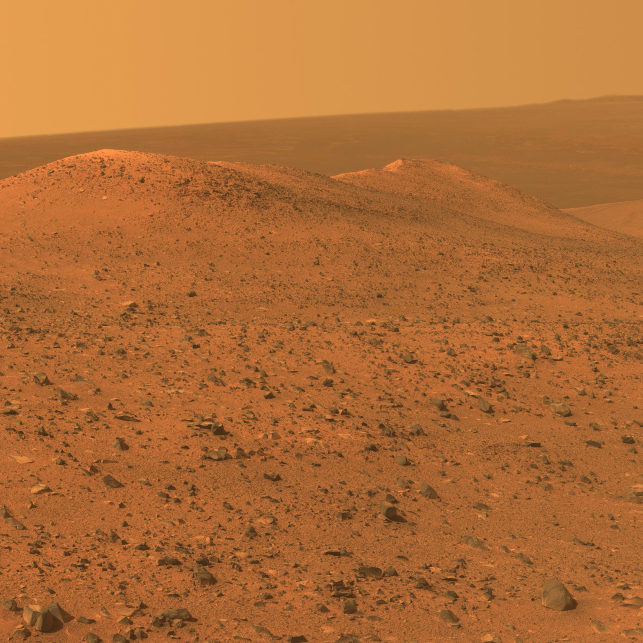 Magnificent Desolations // 2020 // Read More ︎︎︎