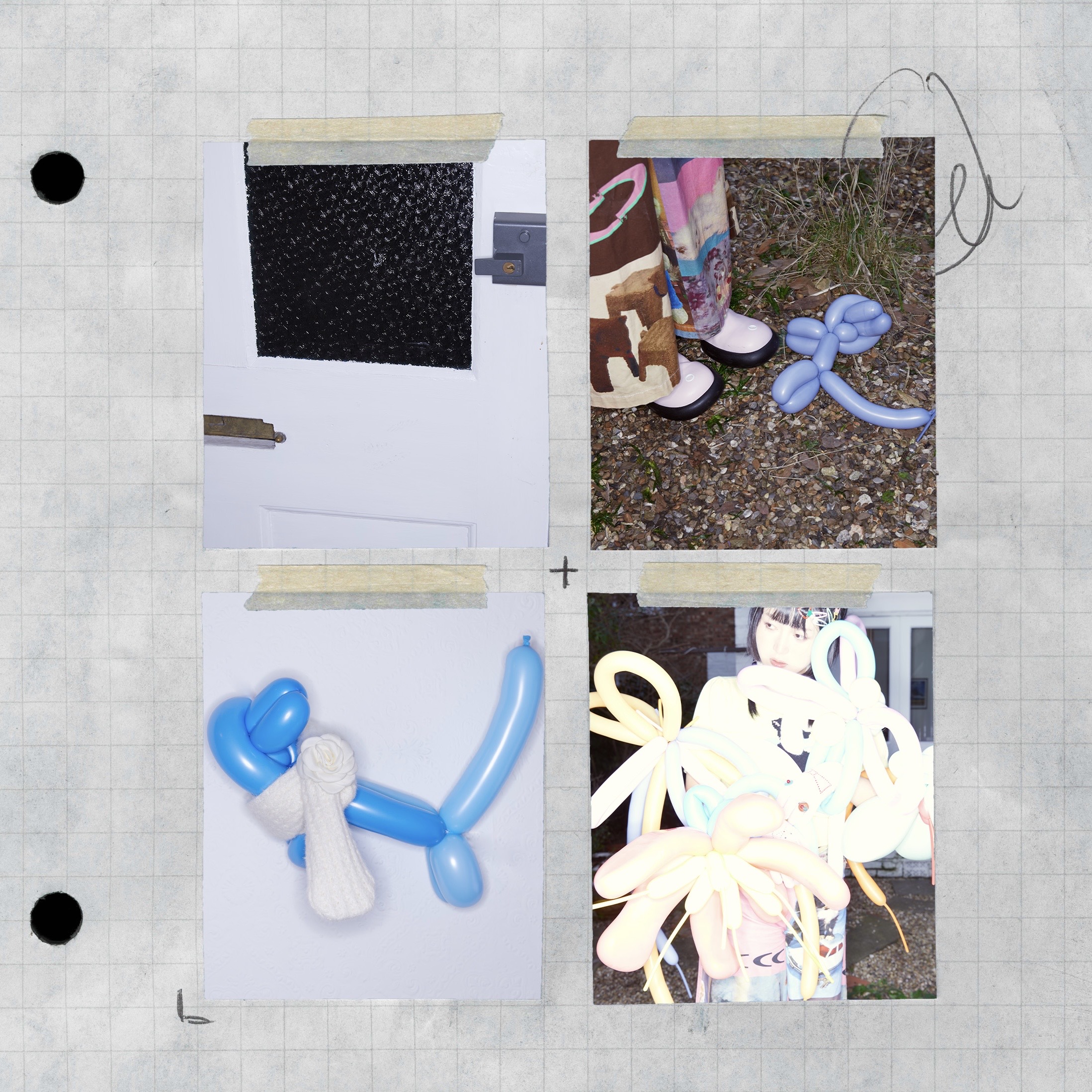 某种花的名字 (New Single)