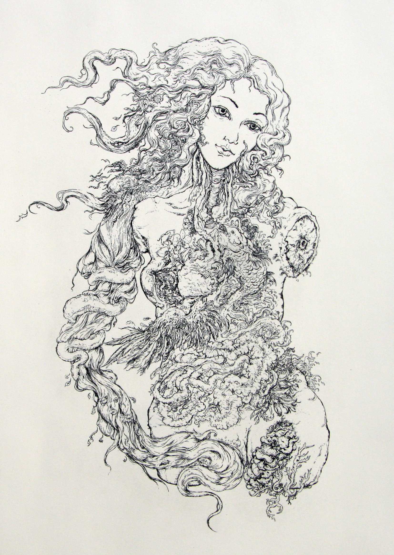 "Standards of Beauty". Etching. Editions of 10. 50 x 72 cm.
