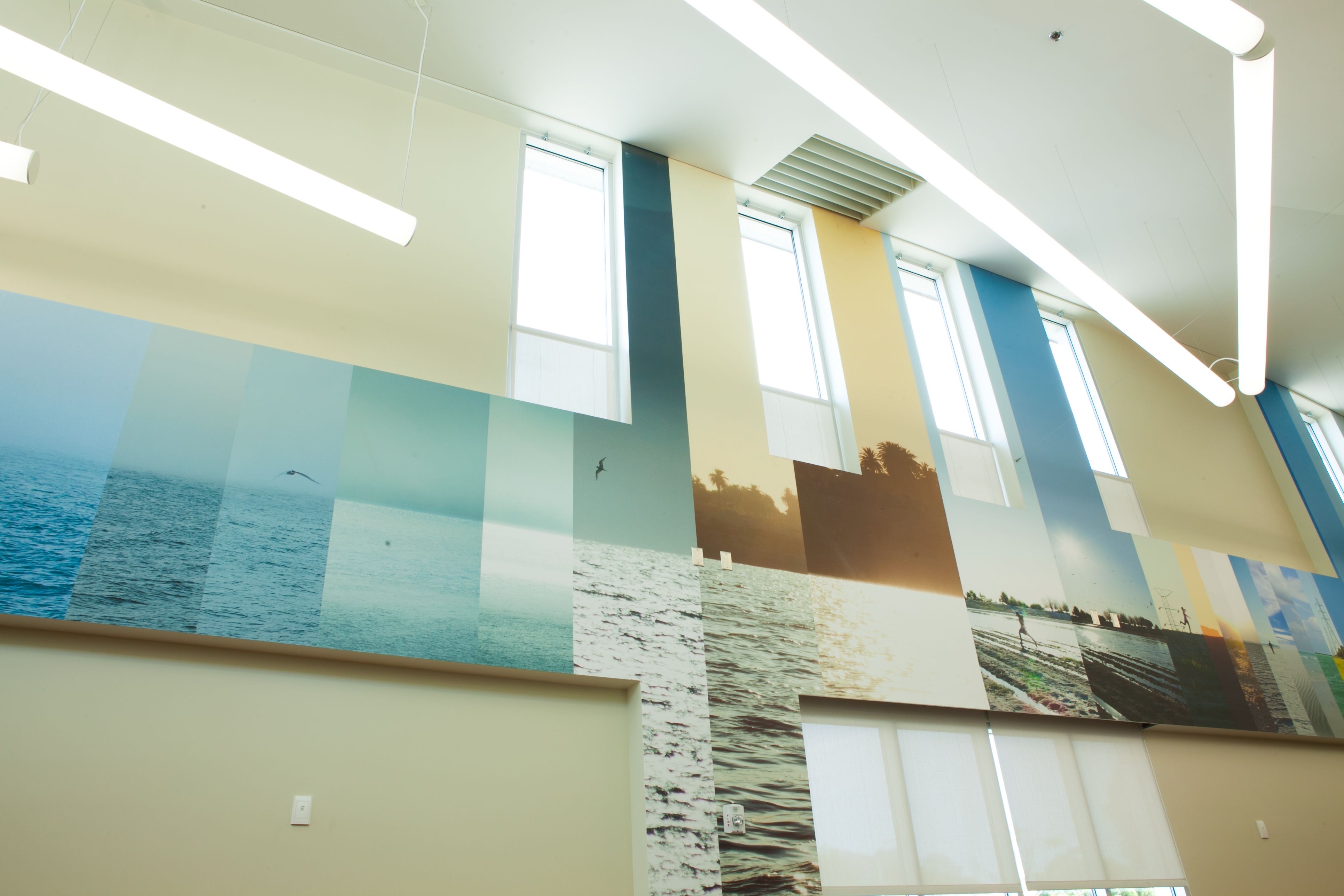 CircumSolar, Migration 2, 2013. Public art at the Pico Rivera Public Library, commissioned by the Los Angeles Arts Commission. Mural. Fire retardant canvas and ink. 132 ft. long x 25 ft. high. ~1,250 sq. ft. approximately.