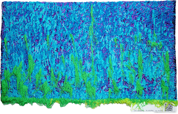 56.656901, 44.663716