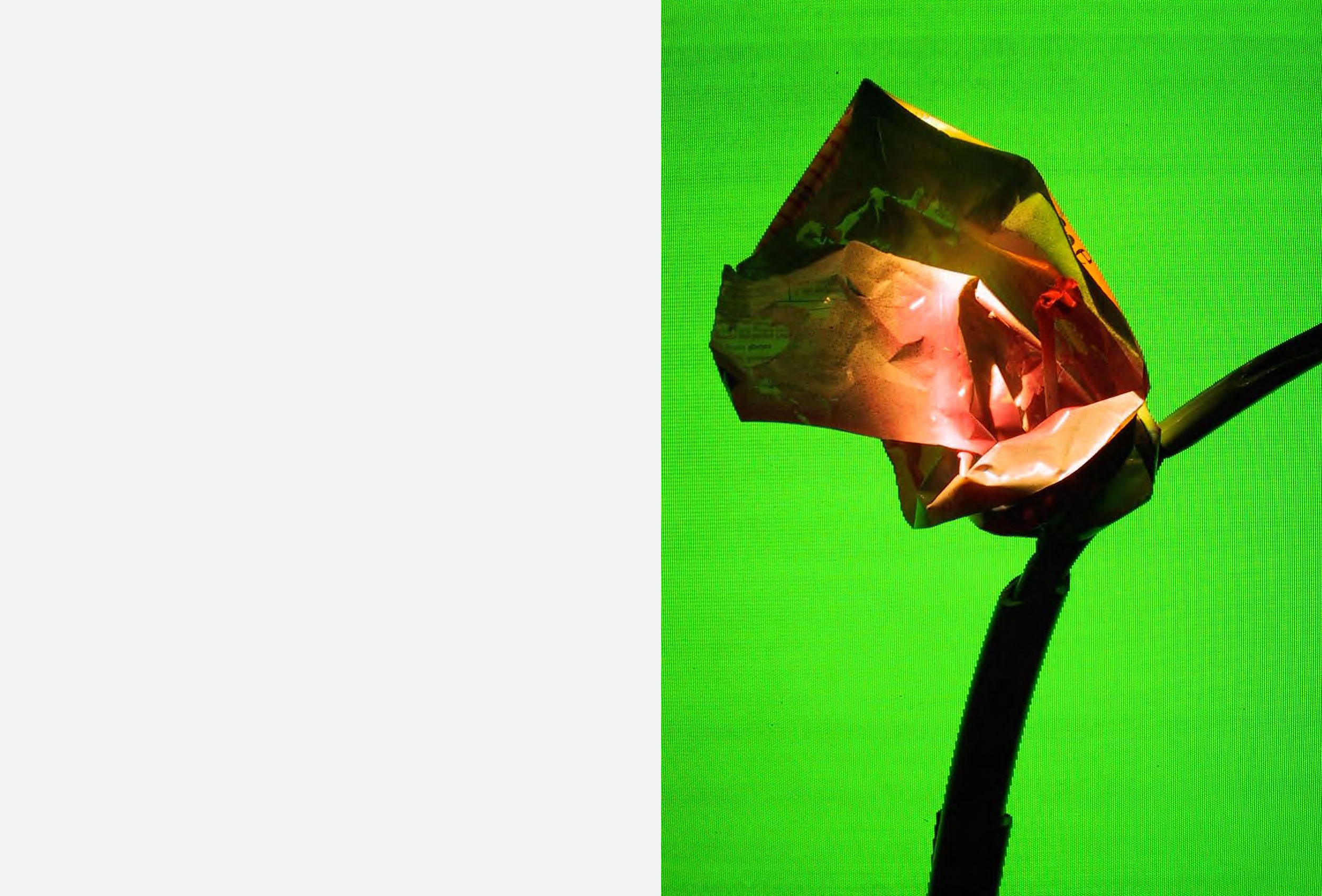  Painted Poly-Bag Artisan 2002  TV Blumen  Garden Marathon Serpentine Gallery London (15 October – 16 October 2011)