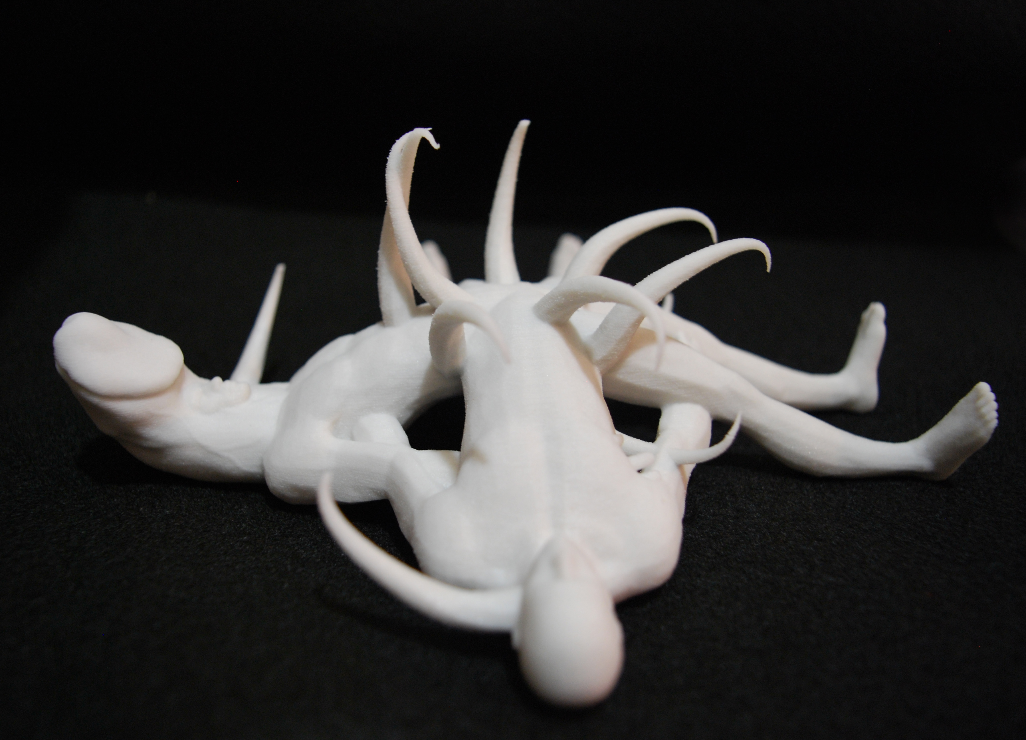  Hybrid Cross, detail, private collection