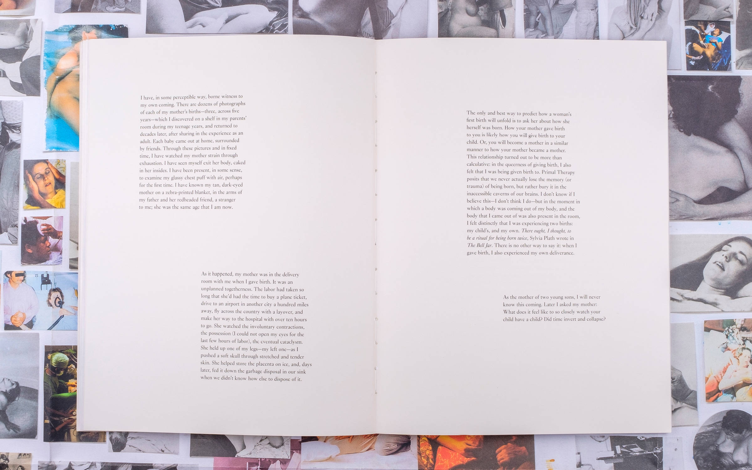 Carmen Winant — My Birth (SPBH Editions & Image Text Ithaca)