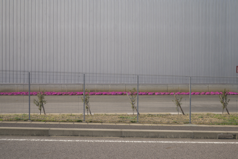 view of almost parallel lines, part two // kakamigahara