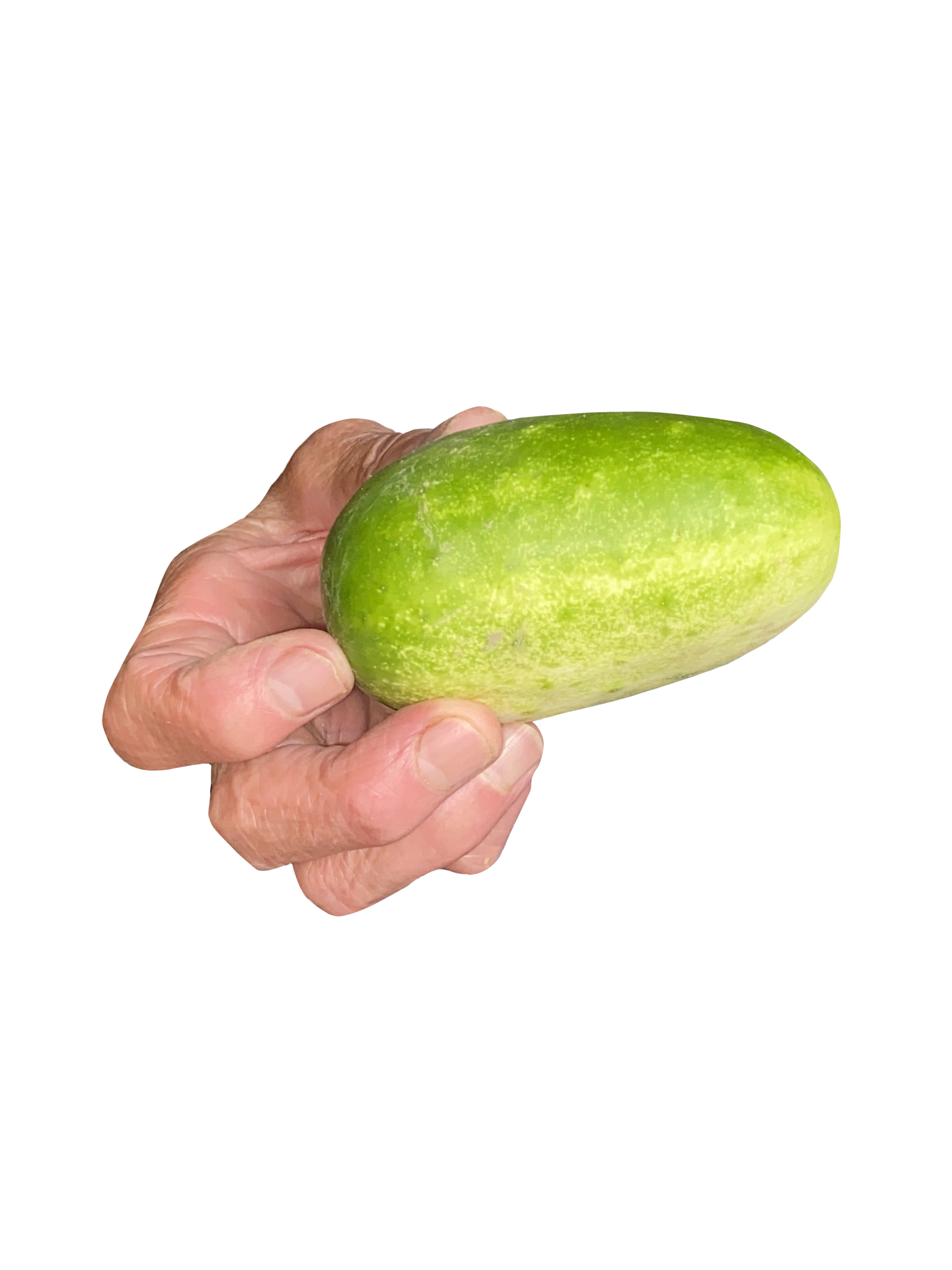  My grandma holding her homegrown cucumber.