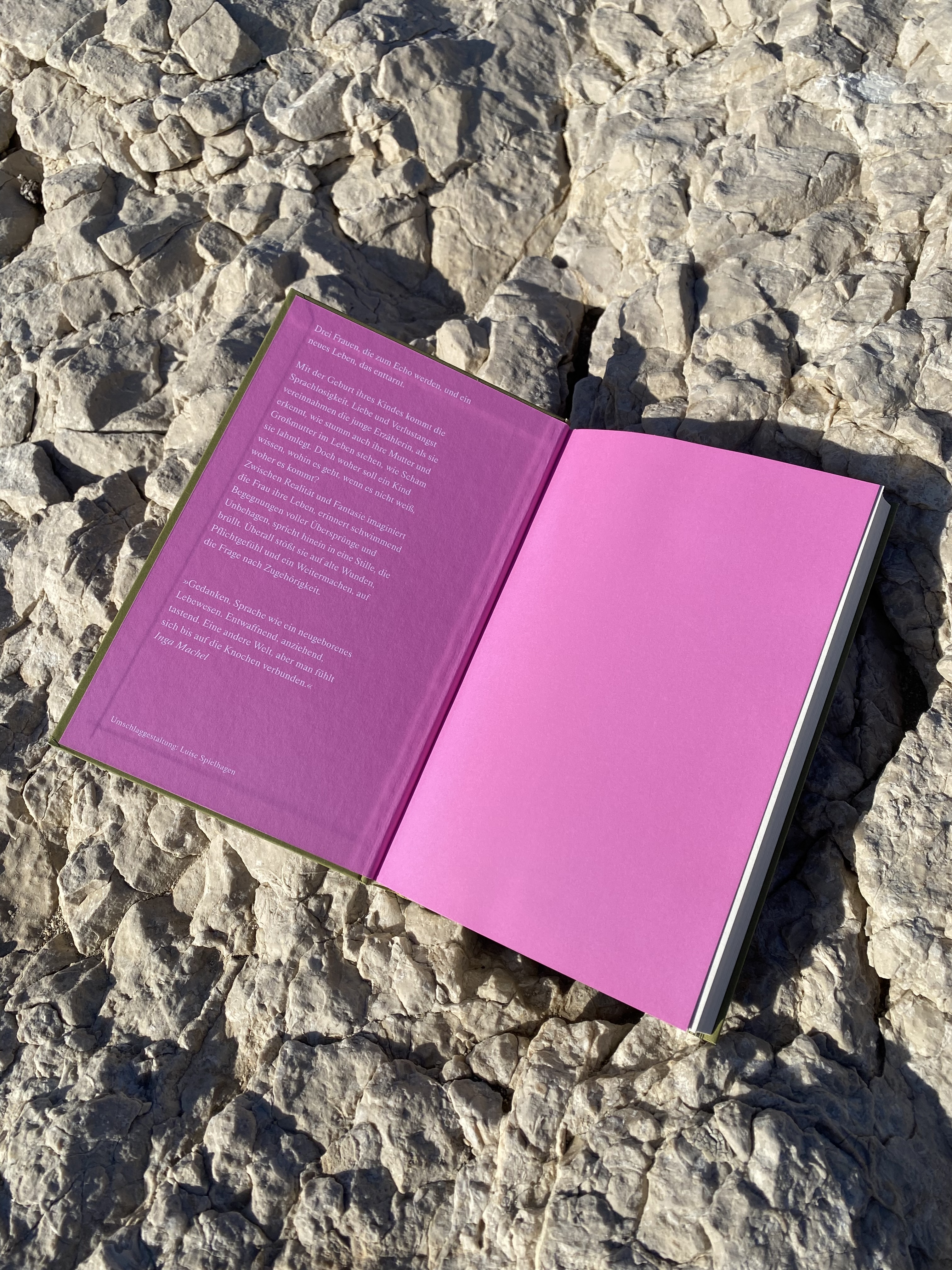 Book Cover Design for Paulina Czienskowski at Aufbau Verlag, 2024-25