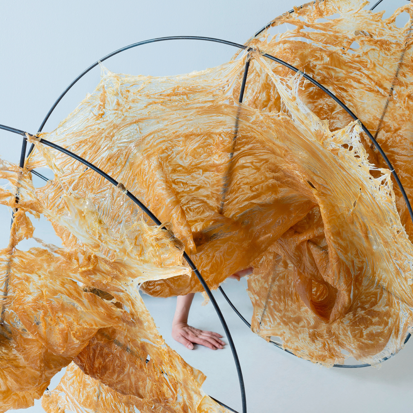 Exhibition  |  Signar Taupe (Vienna)