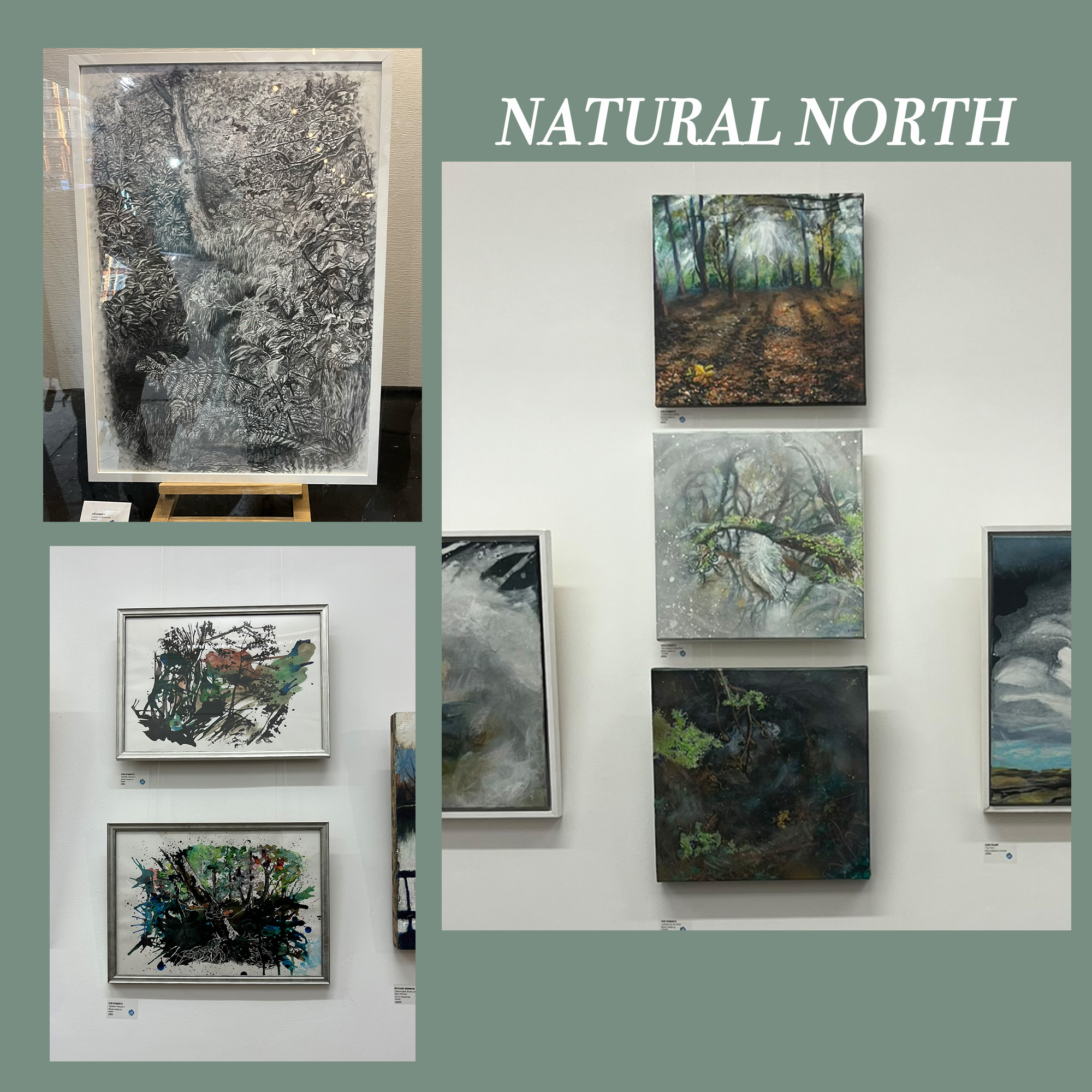 Natural North 2024