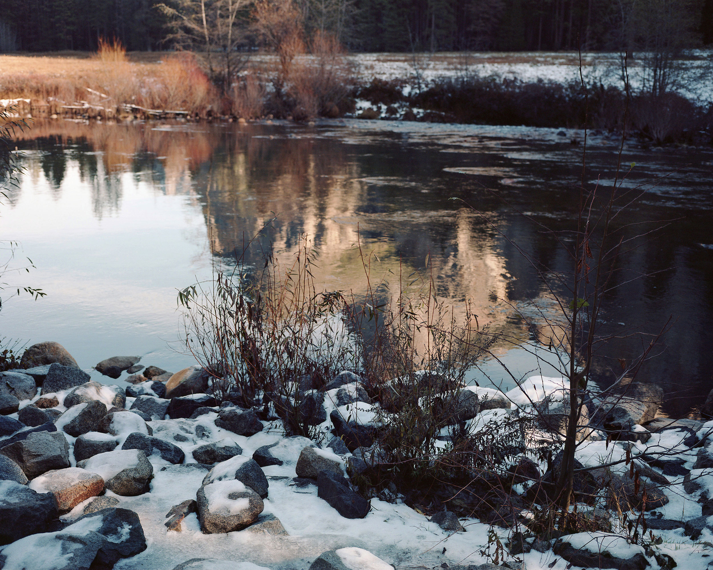 Yosemite Frost, Yosemite, CA, 2015