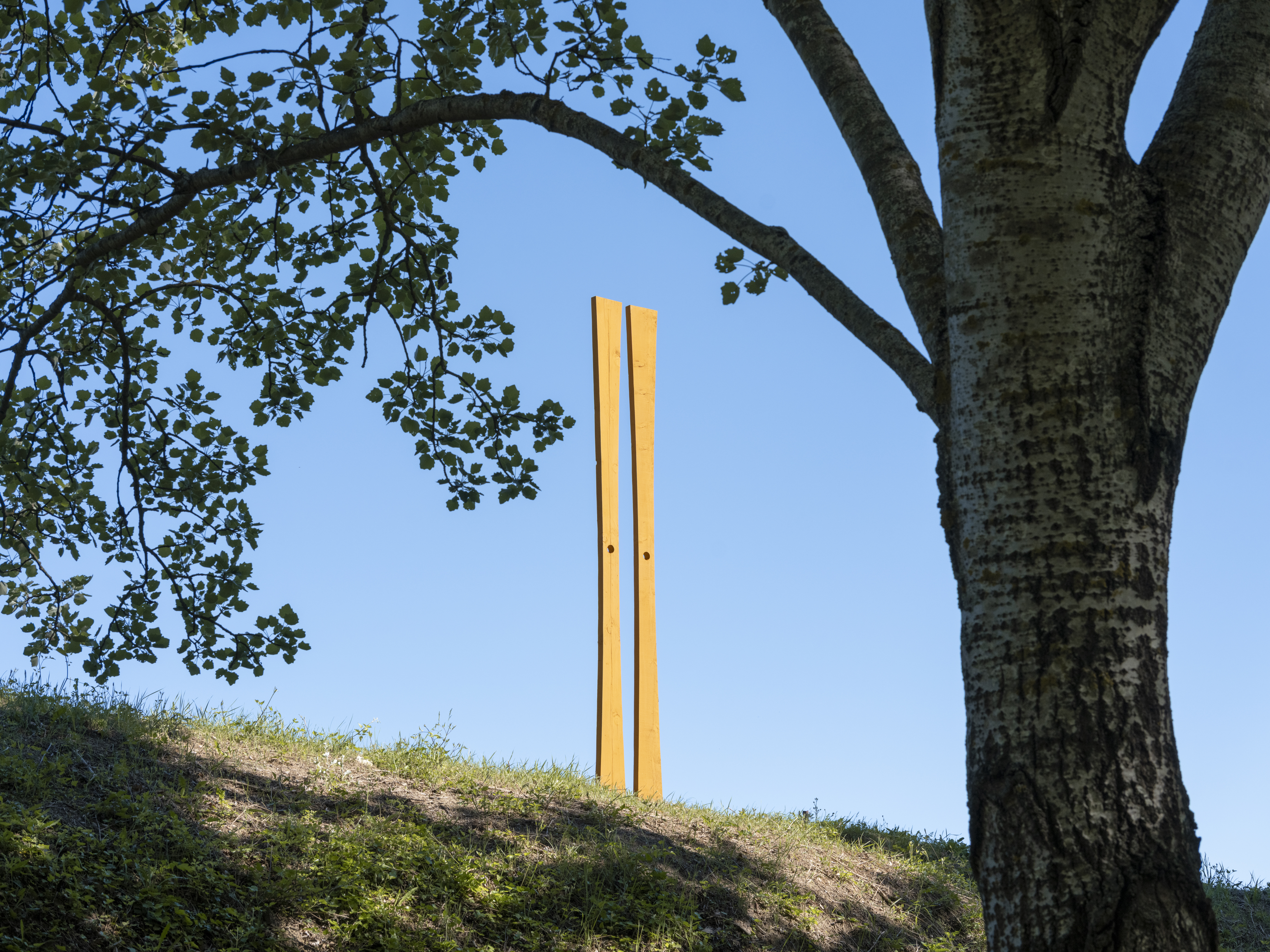 Les yeux en face des trous, Château La Coste, 2025