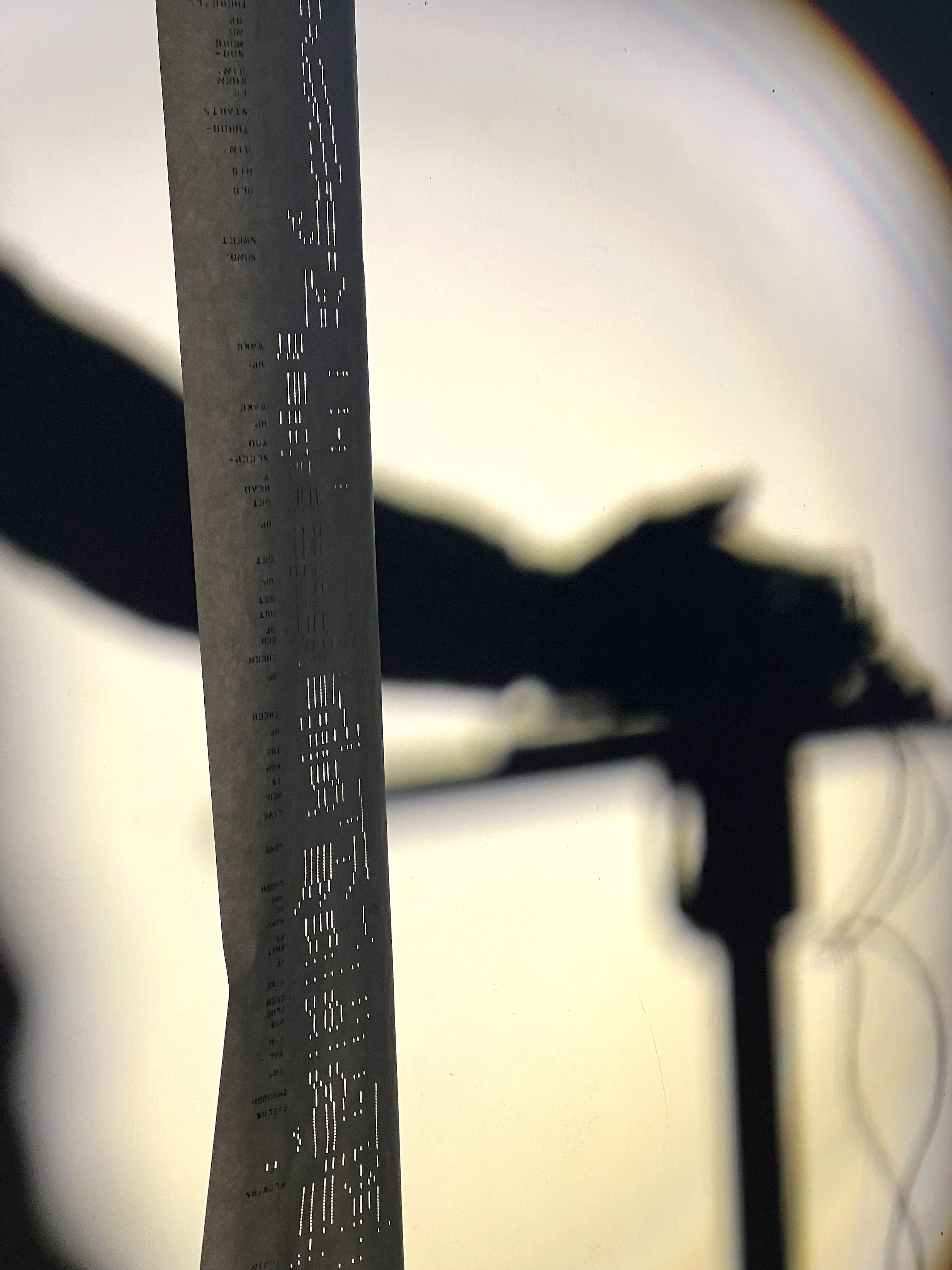 Variations on a Dream 2024