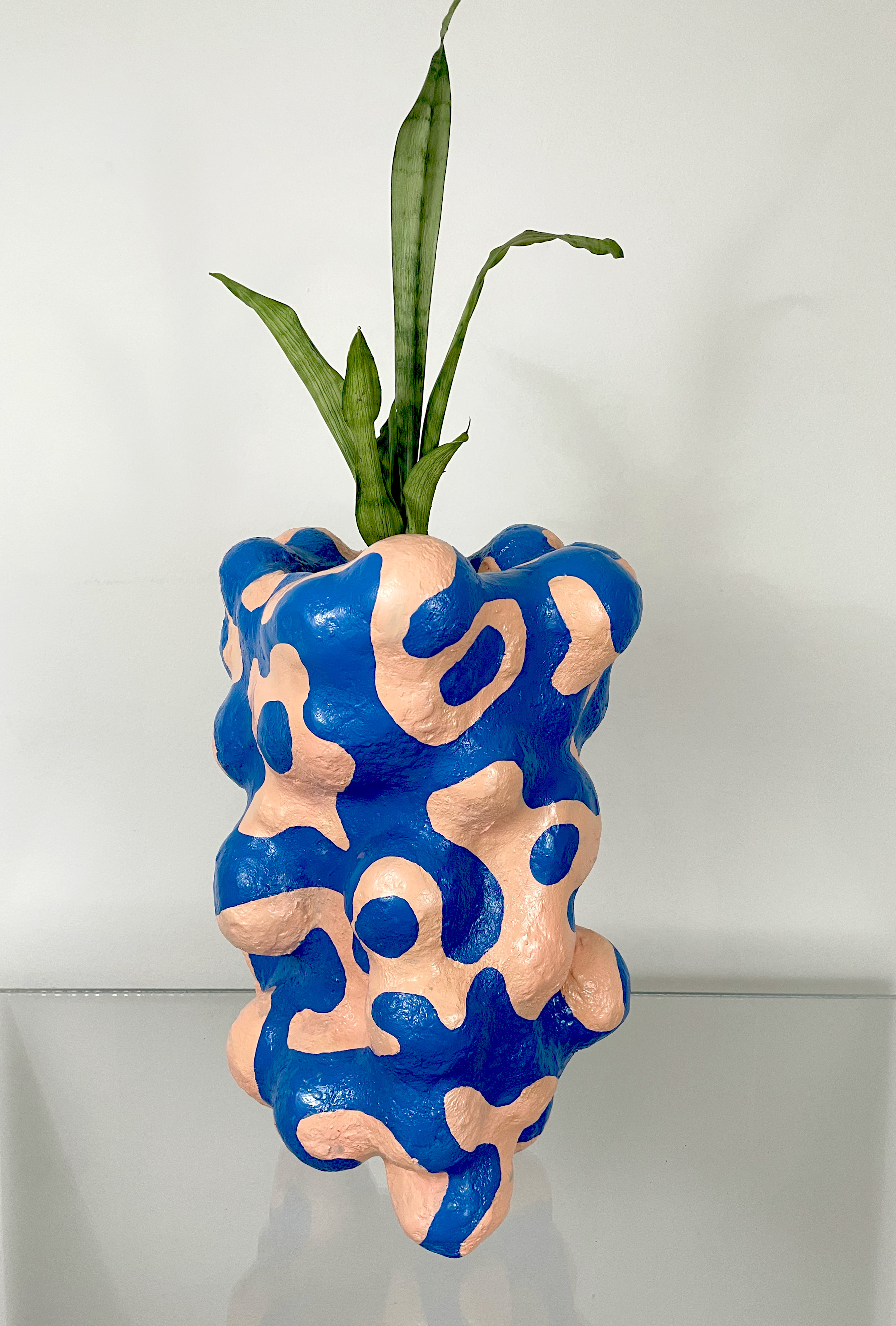 Squiggle, paper clay, acrylic paint, snake plant, 16” x 11” x 10”, 2023
