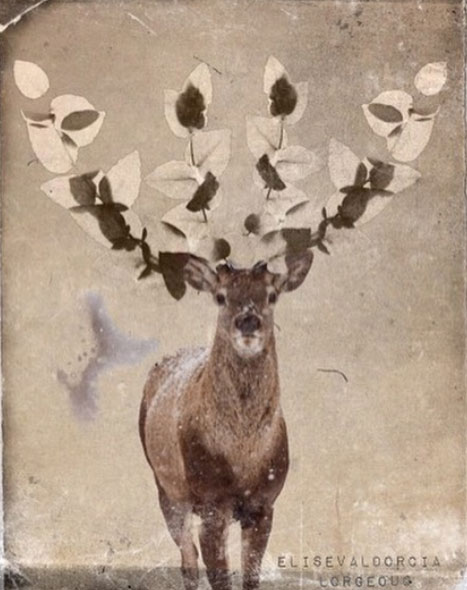 Elise Valdorcia Lorgeou