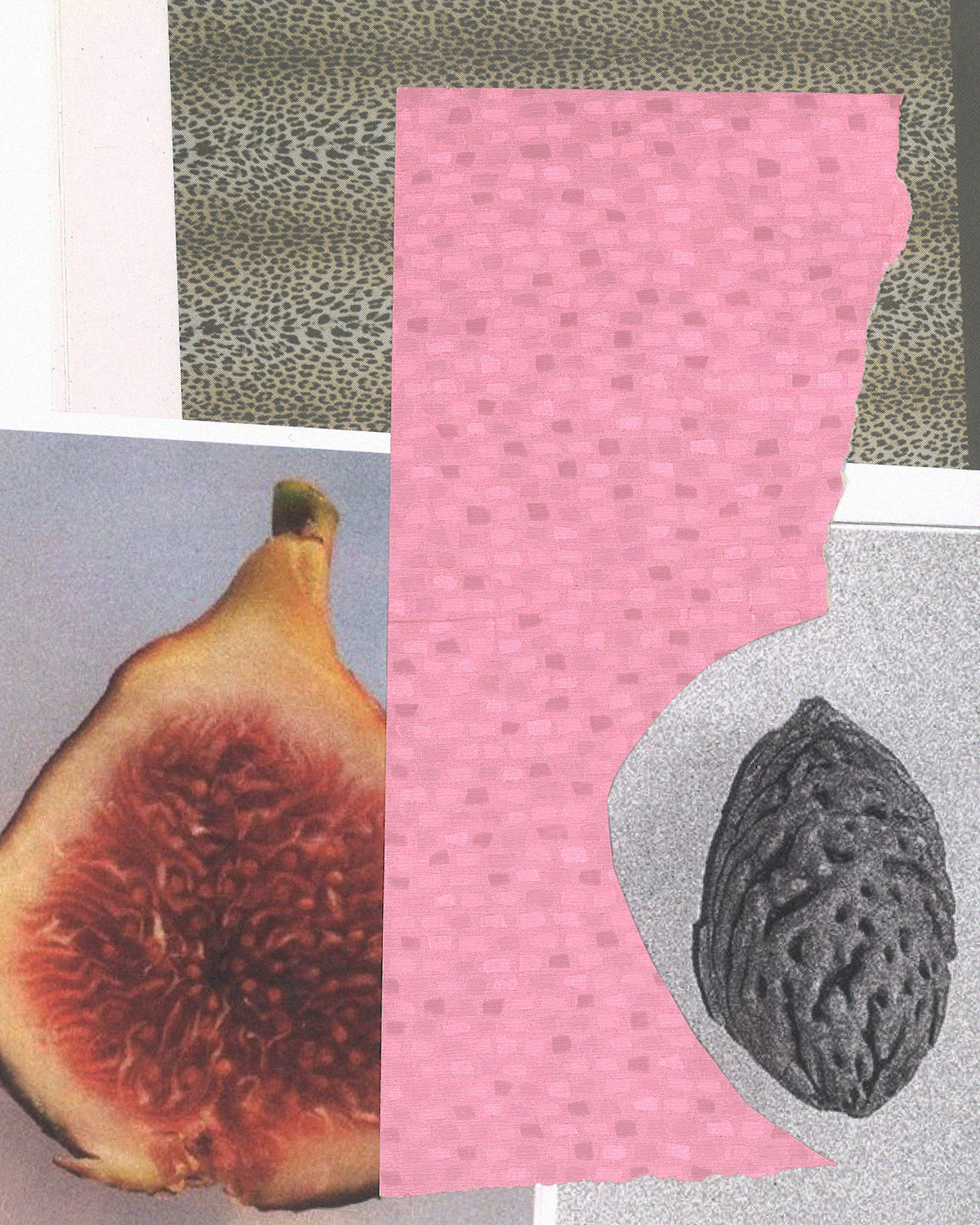 Paper collages, 2025