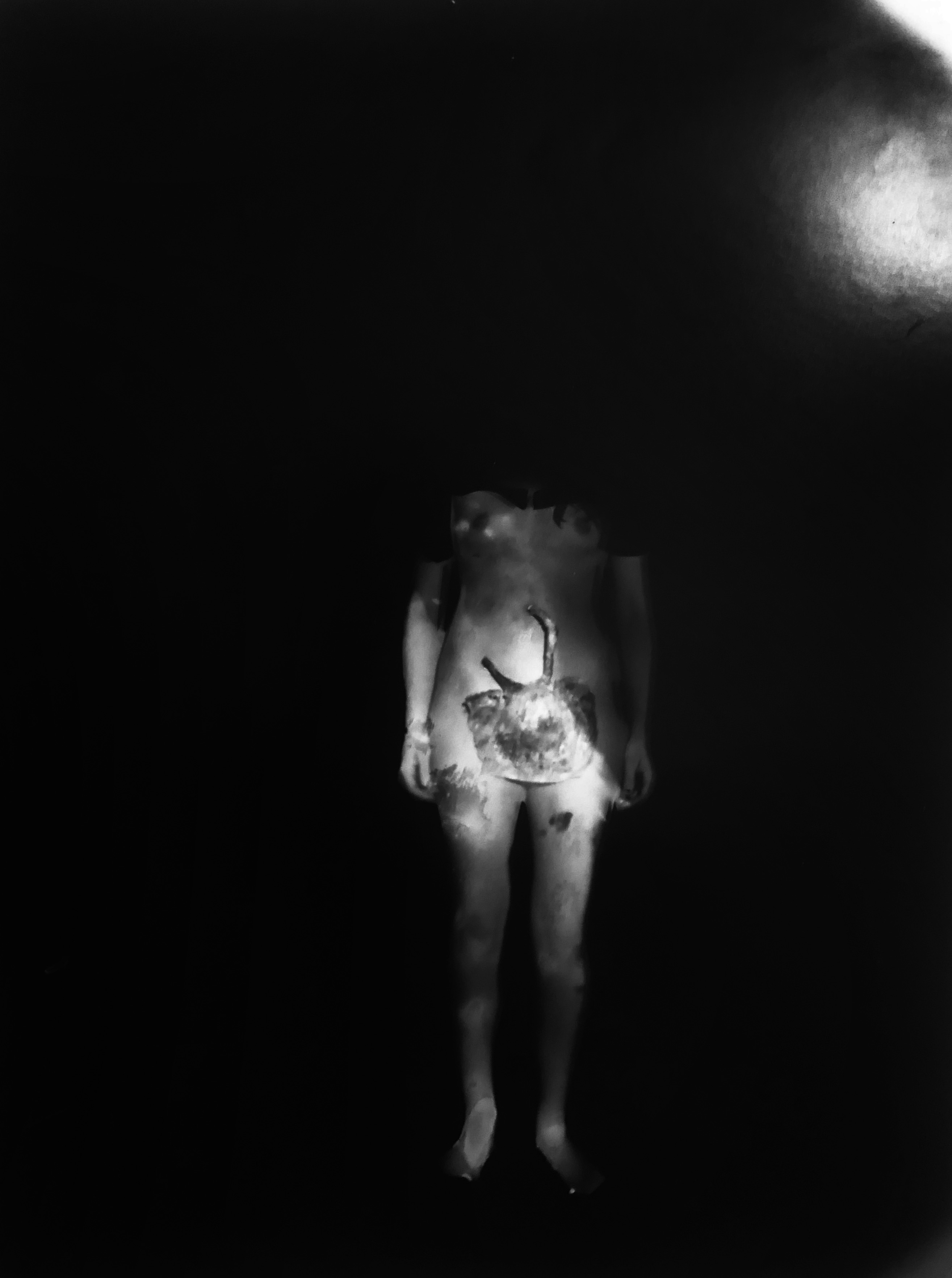 29.7 x 42.0cm