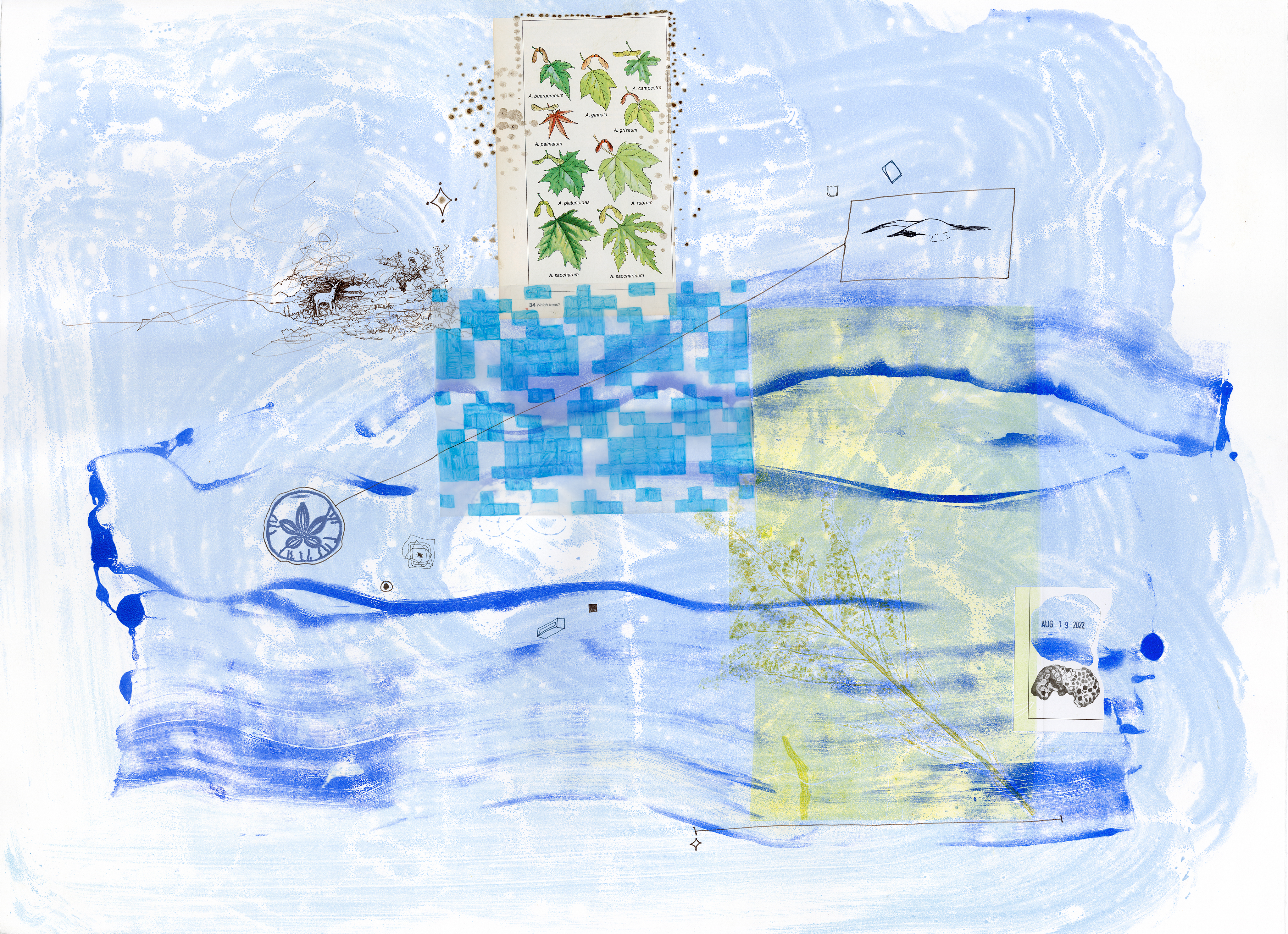 Drawing 6/56 from 56 days at the Dome House 22.5 x 30 inches, ink, Chine-collé, etching and stamps on Arches 88 paper- BUY