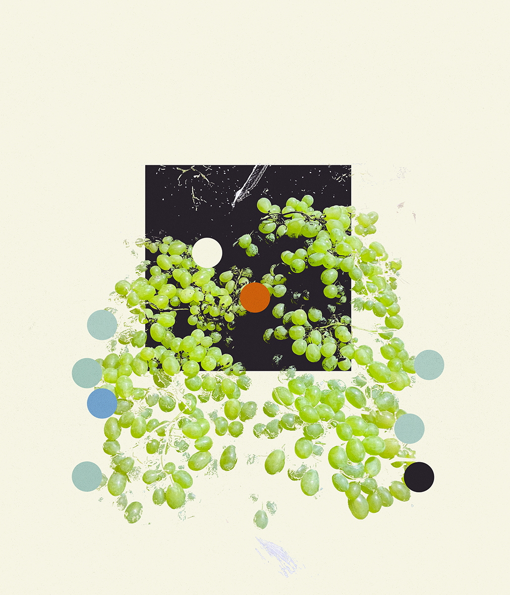 98. grape confetti 14.09.25