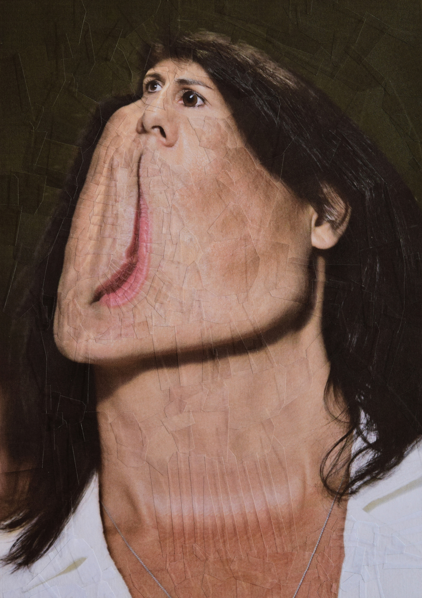 Nikki Haley, 2017, 8.2 x 11.6 inches