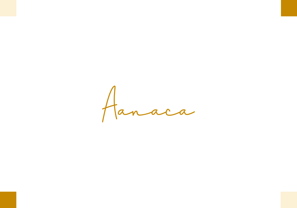 High-End Swimwear Wordmark Logo © Miranda Martinez M. All rights reserved