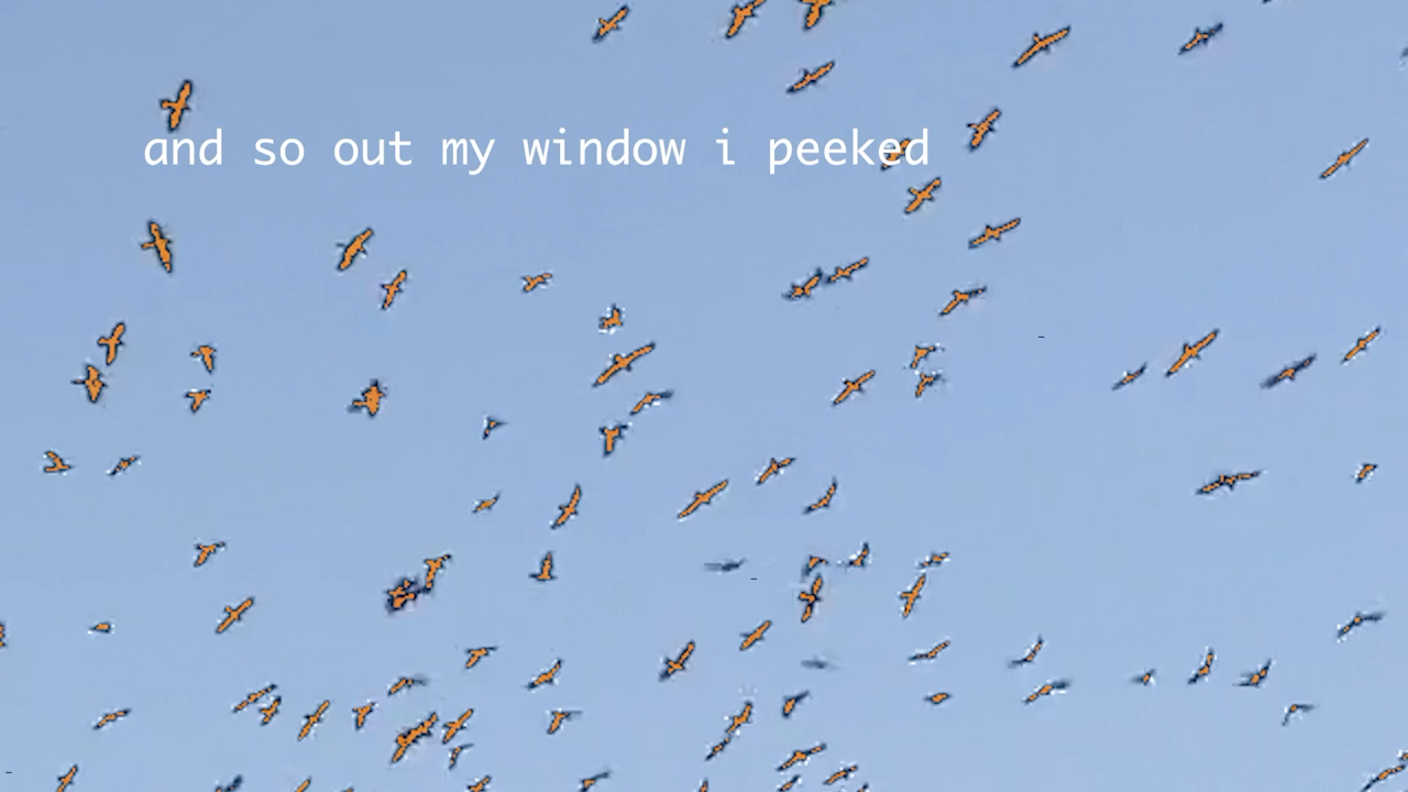 RETURN OF THE BEAN BIRDS