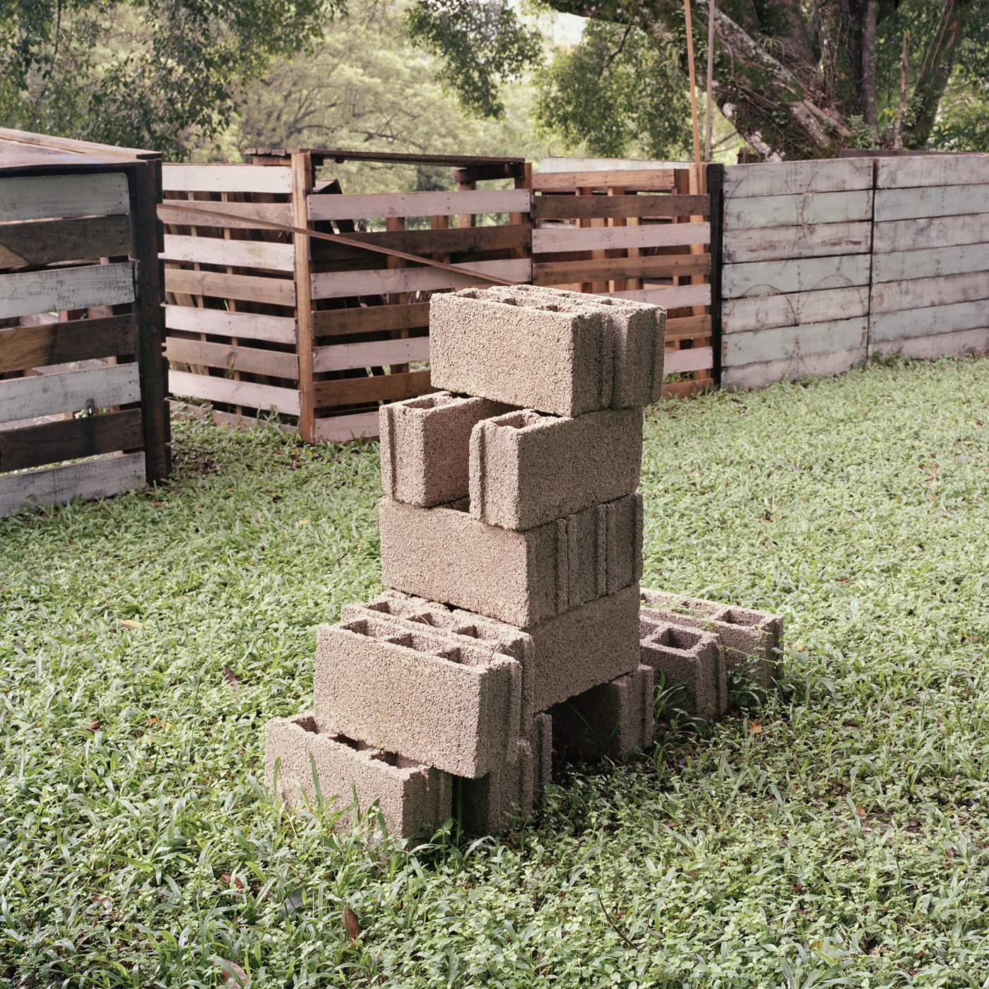 Stack, Xilitla, 2017