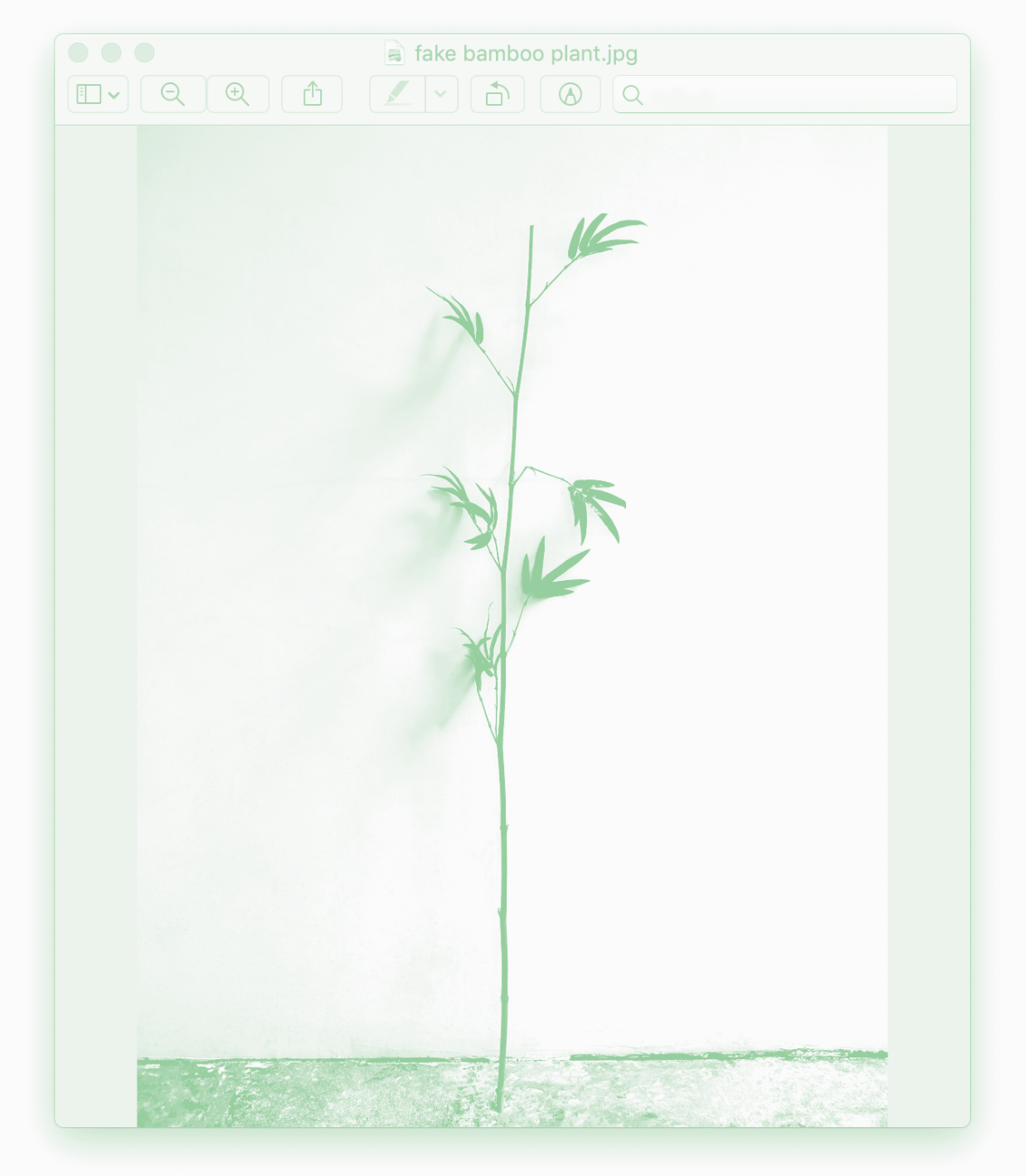 a plant is a plant is a plant (revista Dose), 2019