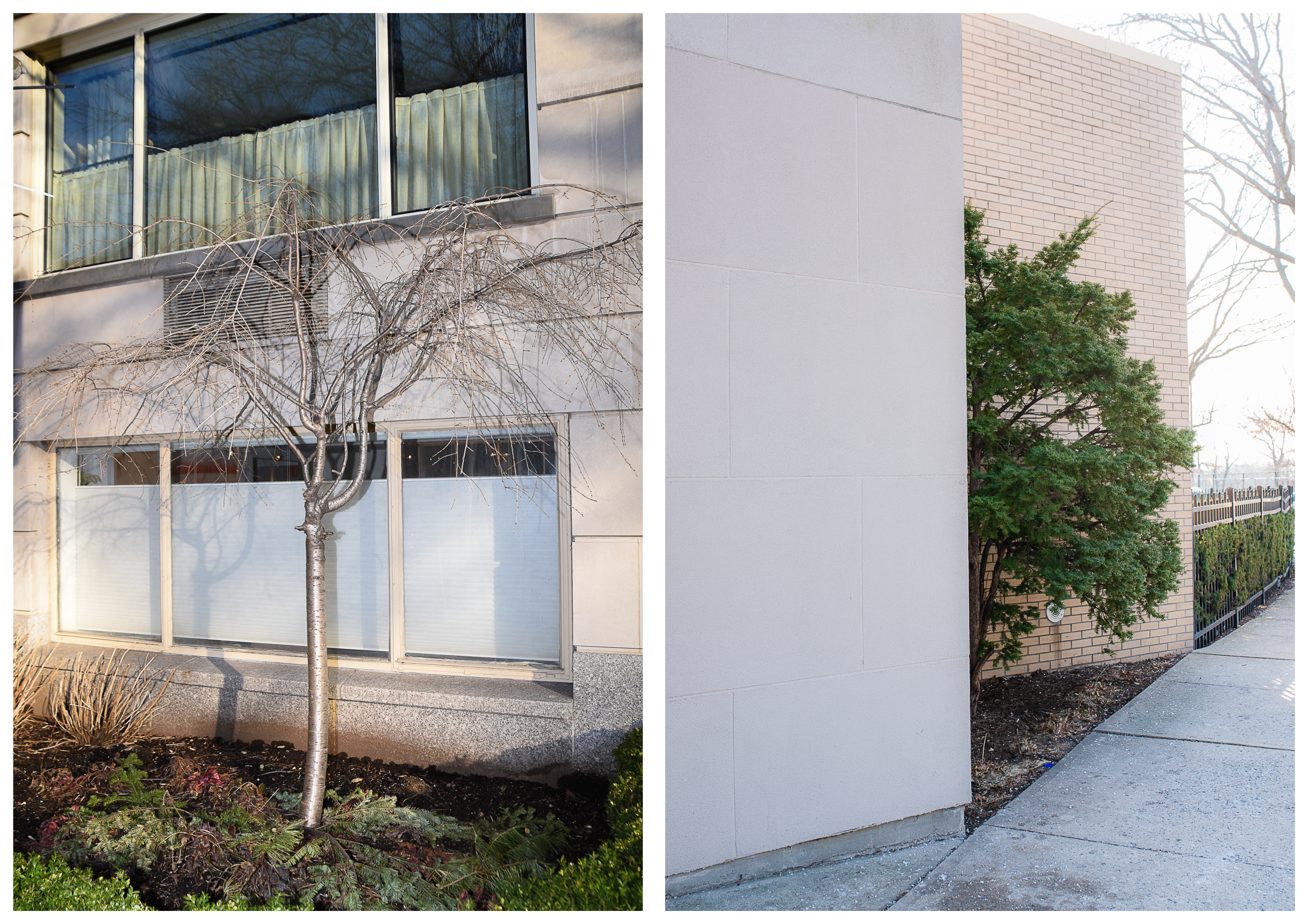 Durante grandes guerras ou crises econômicas, abrir mão de bens preciosos, frequentemente carregados de valor sentimental, como uma jóia de família, é um ato que tem um significado simbólico: uma última tentativa de sobrevivência financeira. Esse gesto é melhor compreendido ao observar a fachada de uma loja que anuncia como forma de exploração do último recurso daqueles que estão financeiramente fragilizados. Exploração mascarada de demanda e, ao mesmo tempo, a única oferta disponível: "compramos o seu bem de família, pelo menor preço possível, porque você não tem outra escolha no momento". Tendo esse gesto como premissa simbólica, resolvi documentar como a propaganda de rua parece ter o poder de determinar o que as pessoas podem aspirar e esperar para as suas próprias vidas. Durante o período que morei em Nova York, caminhando entre os bairros ricos de Manhattan e os considerados periféricos no Queens, me deparei com todo tipo de anúncios de rua, fachadas comerciais, produtos e serviços dispostos nas vitrines das lojas. Cada um desses anúncios carregados de representações visuais e simbolismos que permeavam as escolhas individuais dos residentes daquelas regiões. Com “We buy gold”, não pretendo criar situações comparativas, mas refletir sobre as características socioeconomicas de bairros periféricos e de classe média alta, por meio das escolhas de expressão de suas identidades, diversidades e "necessidades". Ao apresentar esta pesquisa visual, espero revelar uma das nuances do capitalismo e da linguagem do consumo como o principal influenciador no processo de tomada de decisão dos indivíduos.